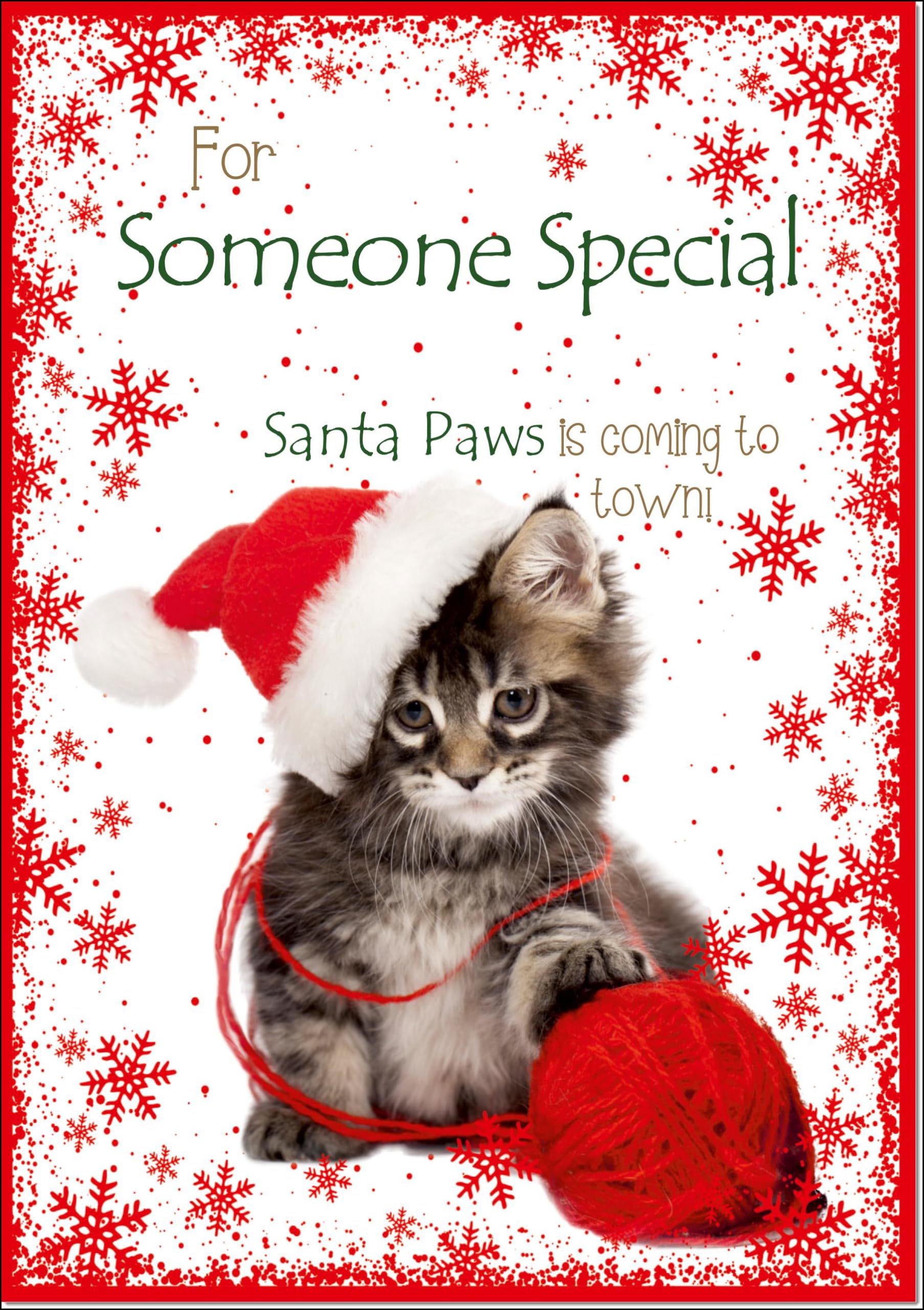 doodlecards Someone Special Christmas Card Cute Santa Paws Kitten Cat Pet Large A4 Size Christmas Card for Someone Special with Plain Envelope — image 1