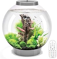 Vista 19 de biOrb Classic 15 Acrílico - Acuario de 4 galones con luces LED blancas - Tanque moderno y compacto para exhibición sobre mesa o escritorio, tanque
