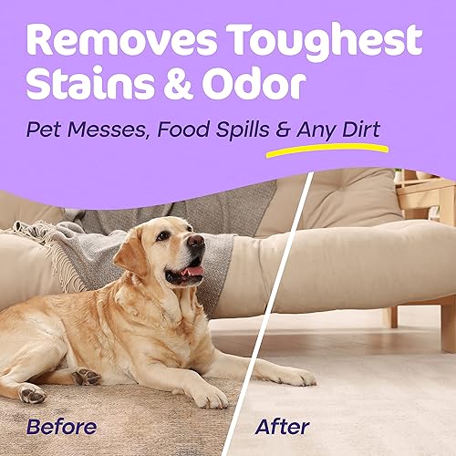 Miniatura 3 de Carpet Miracle - Solución de champú limpiador de alfombras para uso a máquina, removedor de manchas profundas y fórmula desodorizante de olores, uso