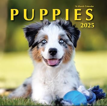 Puppies 2025 Hangable Wall Calendar Cute Funny Dog Photo Gifts Puppy Dogs Photography Large Full Page 16 Months for Organizing & Planning Gift for Her 2025 Puppies