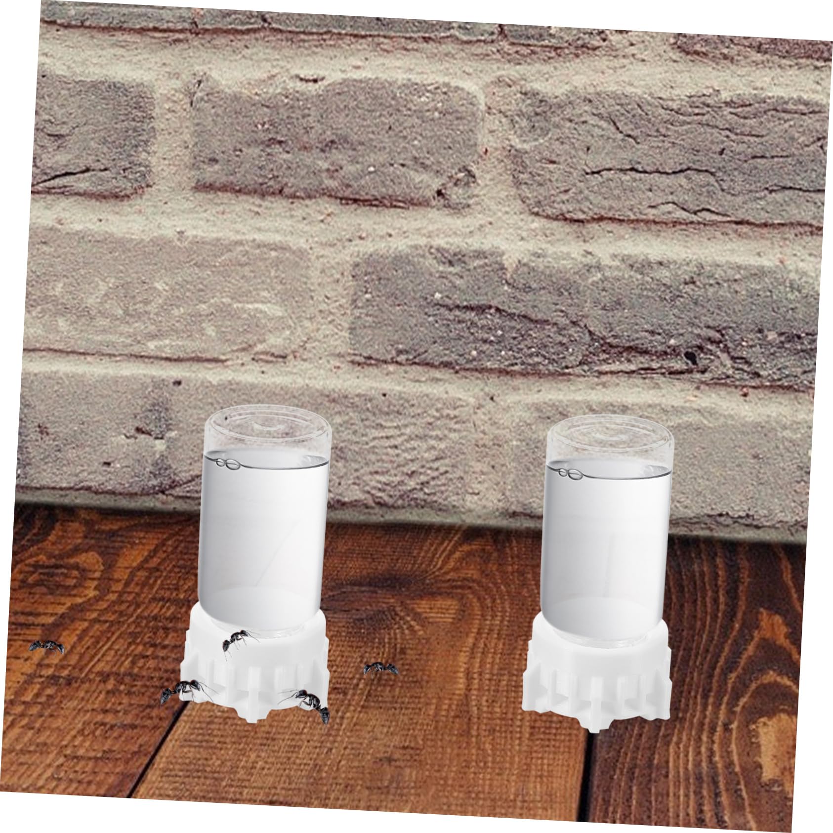 POPETPOP Bebedero para Hormigas de 20ml Diseño Profesional y Resistencia al Desgaste, Dispensador de Agua de Vidrio y Plástico Adecuado para Observación Científica en Verano