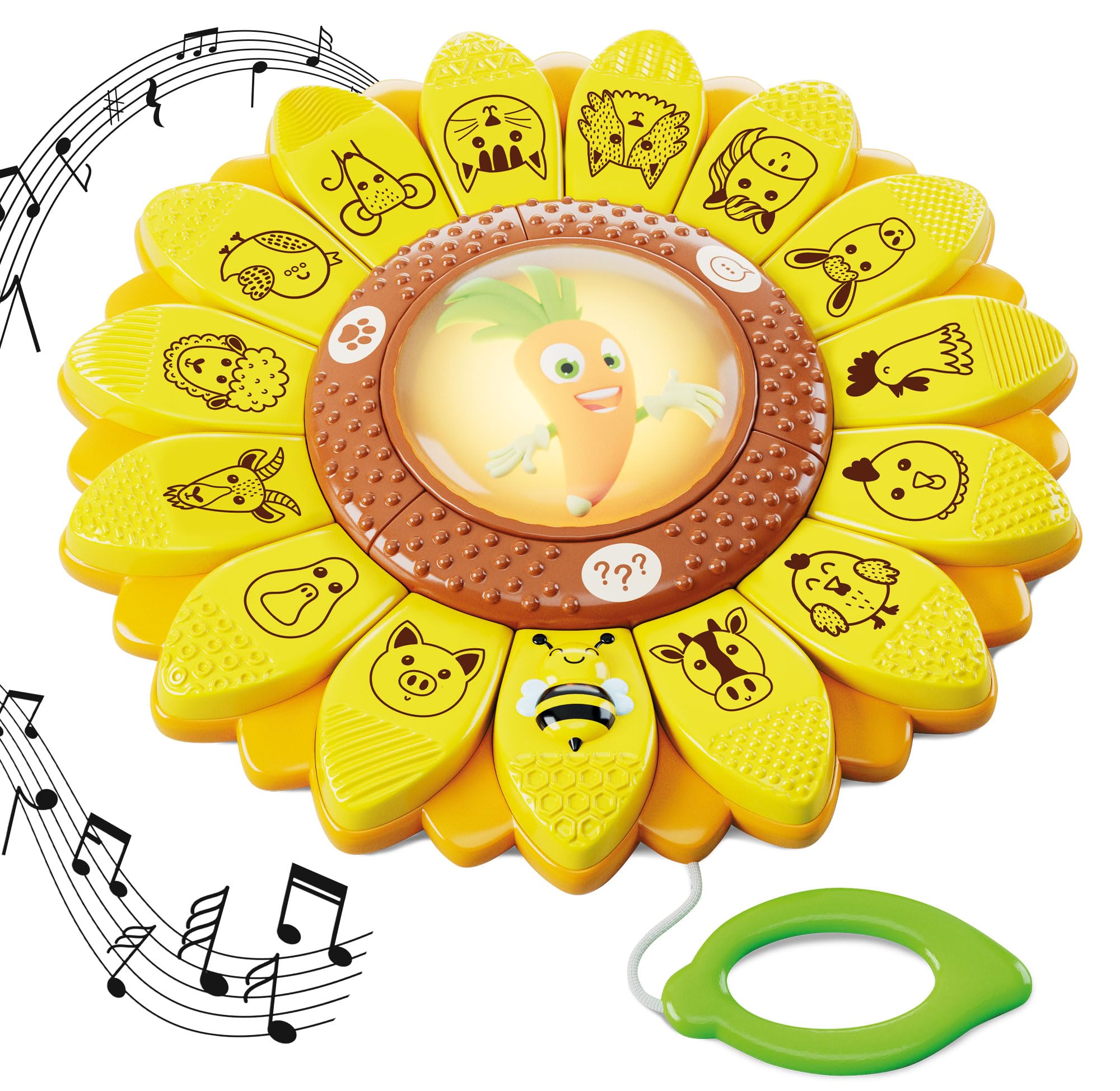 Lisciani Giochi - Carotina Il Girasole Educativo, 113767