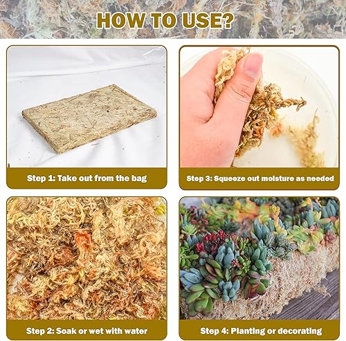 Miniatura 5 de Hourleey Musgo Sphagnum de 10.6 onzas para plantas, maceta de musgo seco de fibra larga natural de primera calidad, musgo de turba esfagnum a granel