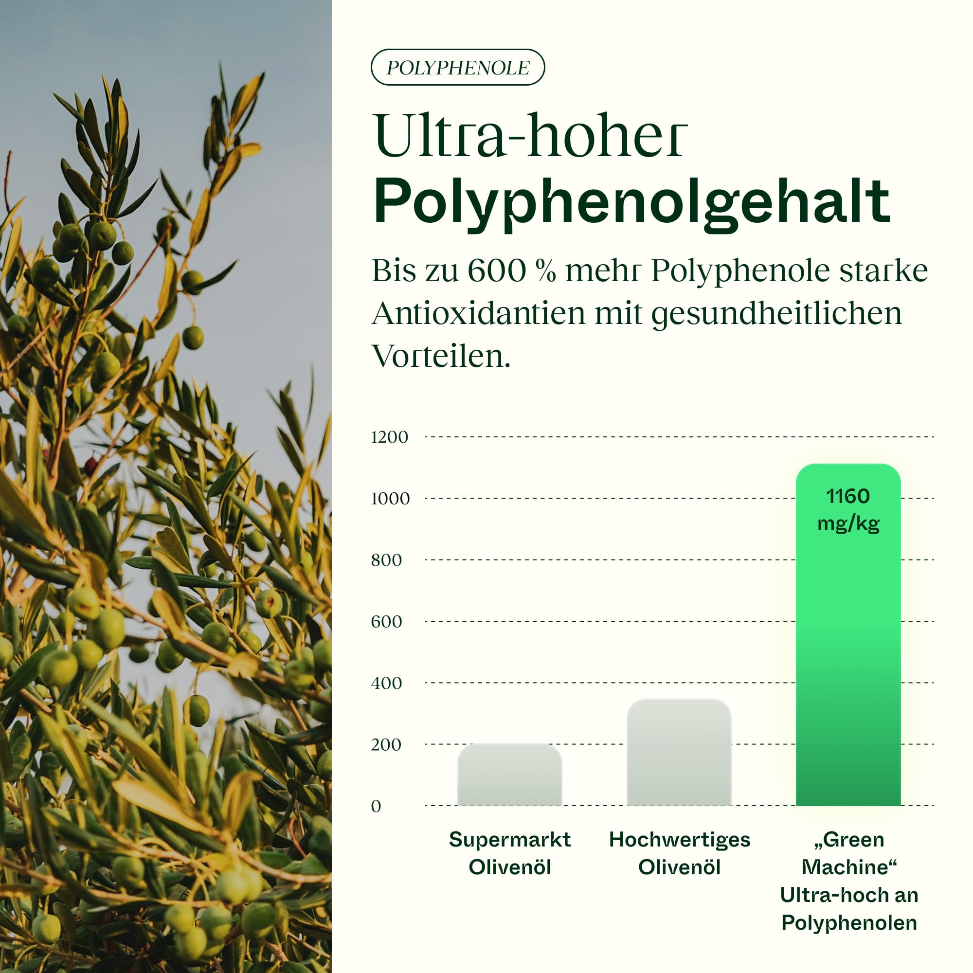 Olv Limits – Green Machine Hochphenolisches Olivenöl, 500 ml | Olivenöl für Gesundheit & Langlebigkeit–1160 mg/kg Polyphenole–Laborgeprüft&Verifiziert–Italienisches Natives Olivenöl Extra