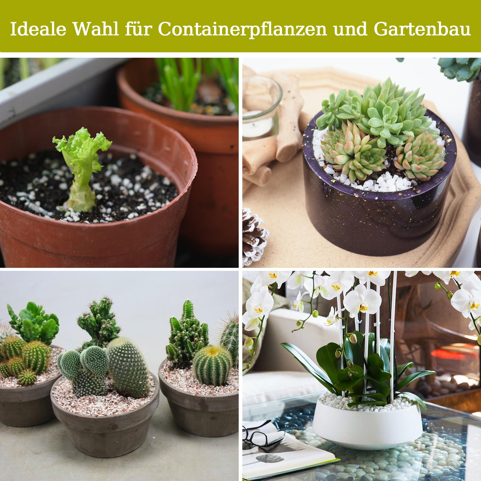 Riare Perlite für Pflanzen Natürliches Perlit für Pflanzen Erden- und Substratverbesserung Verbessert Feuchtigkeitsspeicher Substrat für Garten & Zimmerpflanzen