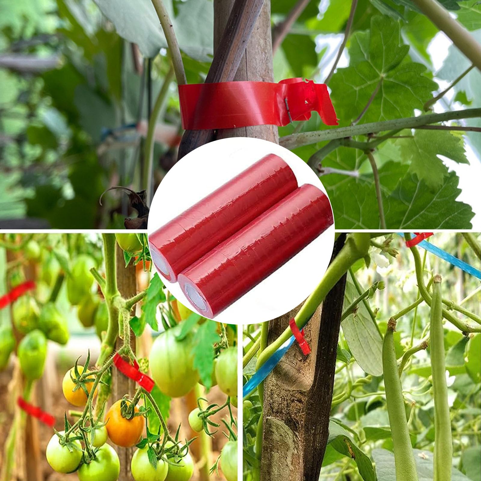 20 rotoli di nastro da giardino, rotolo di nastro vegetale, 10000 punti per piantare pomodori vigneti, vigneti, fiori (c)