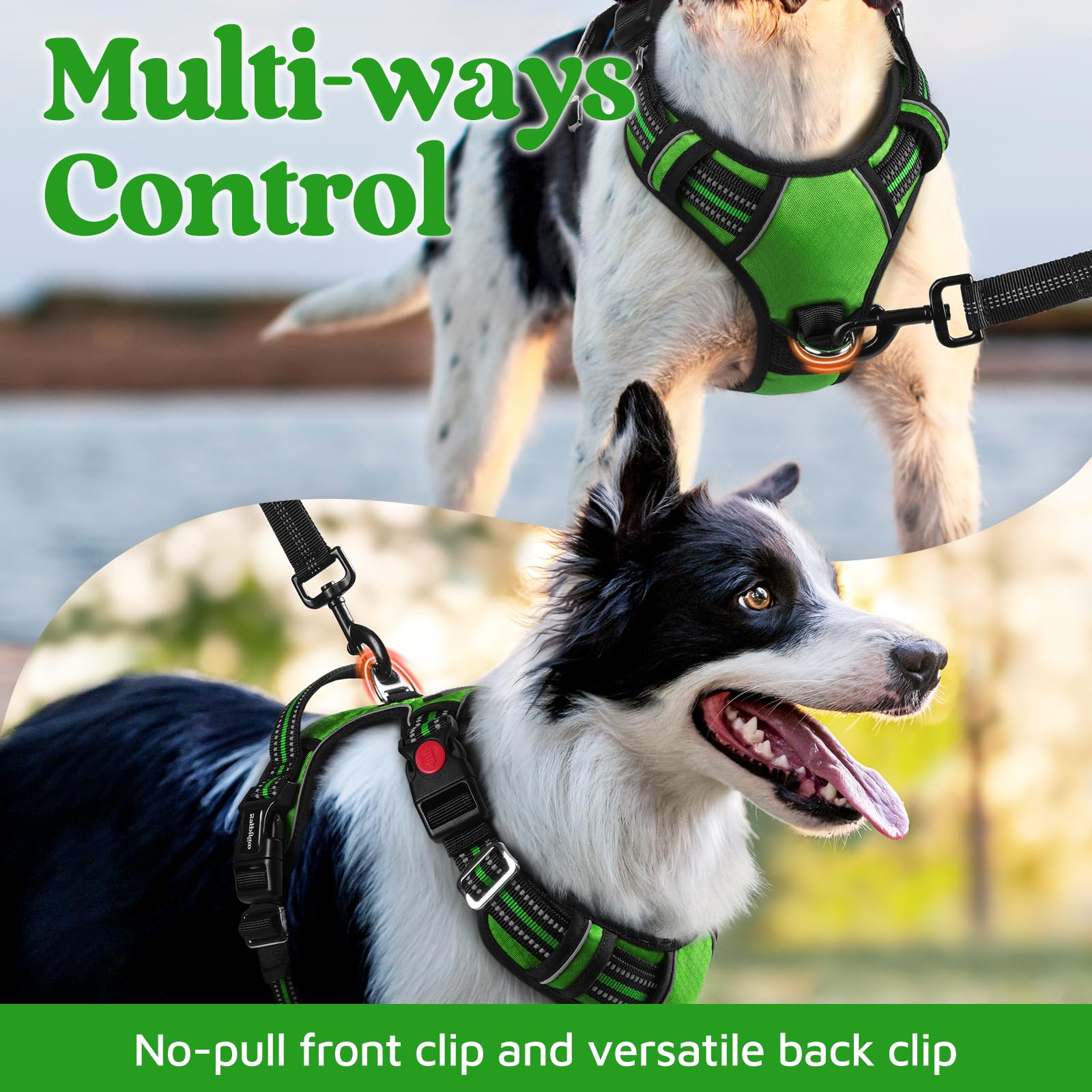 rabbitgoo Harnais pour chien de petite taille, anti-traction avec 3 boucles, harnais rembourré doux réglable avec poignée de contrôle facile et bandes réfléchissantes, vert, taille S