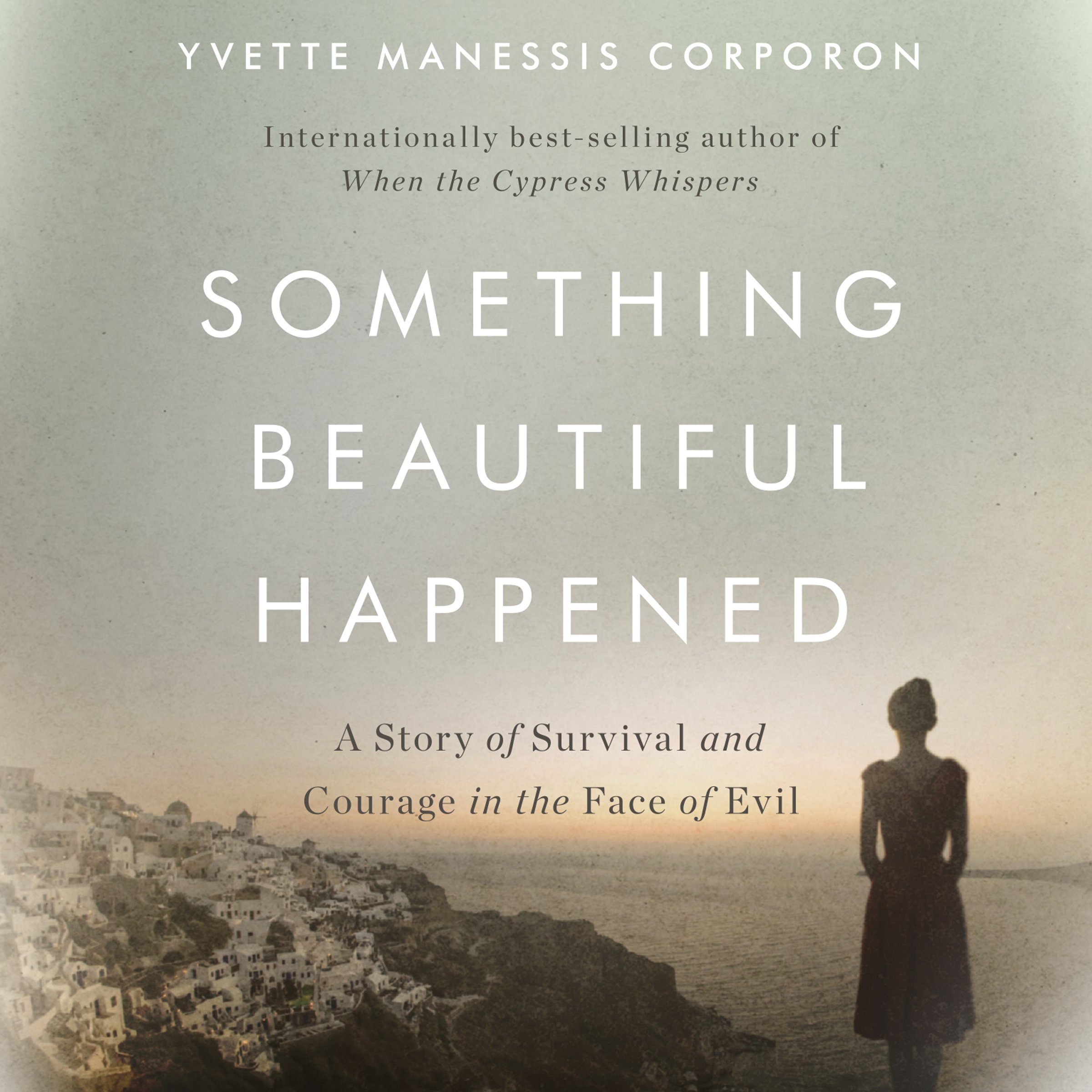 Cover art for Something Beautiful Happened