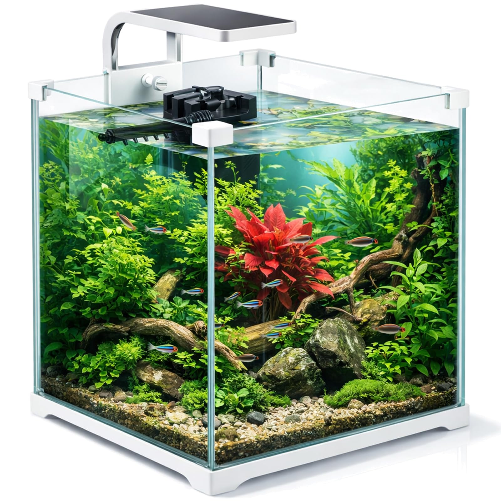 Kruger Meier Shrimp!One Pro 30 Aquarium Komplettset 15L – Nano Aquarium mit LED Beleuchtung und Innenfilter für Garnelen & Fische