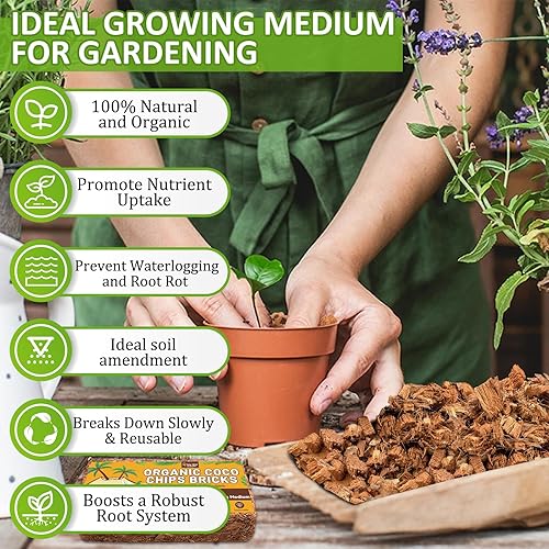Miniatura 38 de Legigo Paquete de 6 chips de coco para plantas, 6.6 libras, 100% orgánico de chips de coco para macetas con bajo equilibrio EC y PH, sustrato de 6