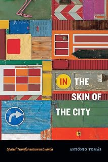 In the Skin of the City: Spatial Transformation in Luanda (Theory in Forms)