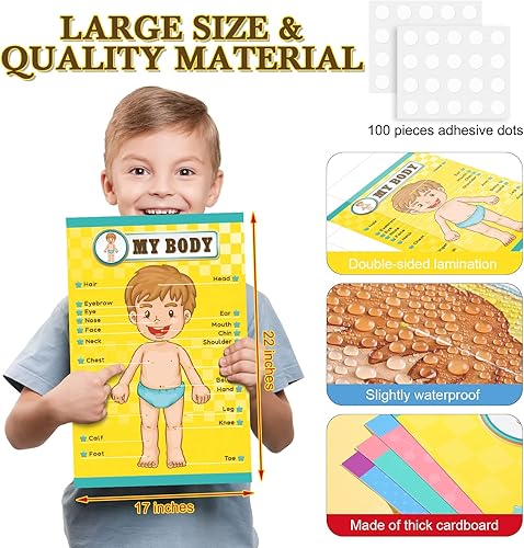 Miniatura 2 de Outus Carteles educativos de aprendizaje del cuerpo humano, parte del cuerpo, tabla de pared de 22 x 17 pulgadas para niños, tabla de anatomía de