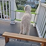 Review Image by Amazon Customer