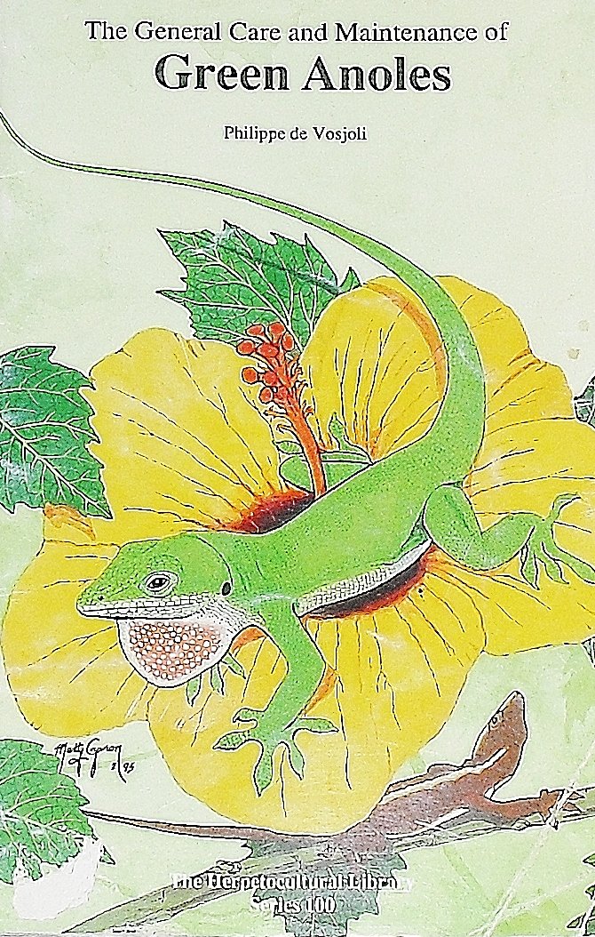 The General Care and Maintenance of Green Anoles (General Care and Maintenance of Series)
