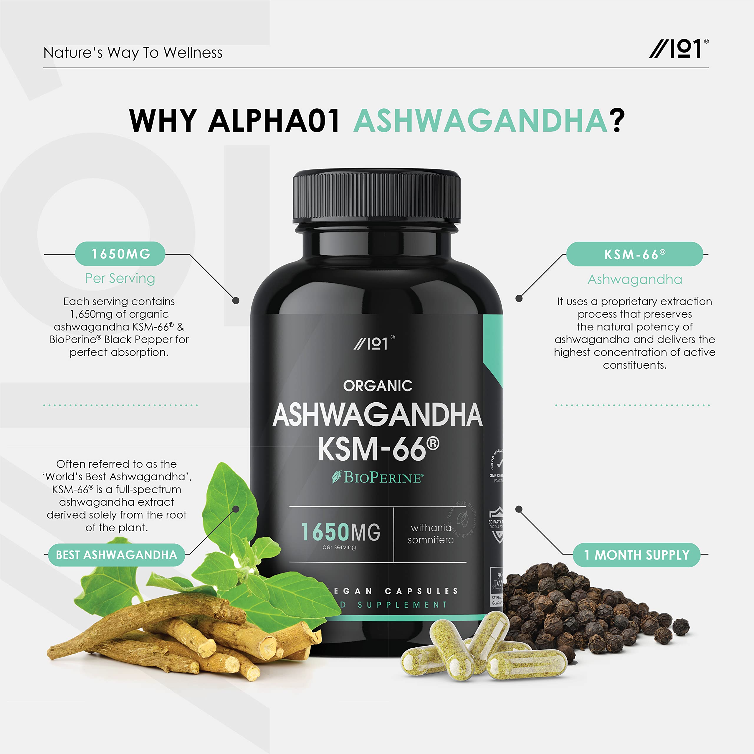Organic Ashwagandha KSM66® with BioPerine® 1650mg 5 Withanolides