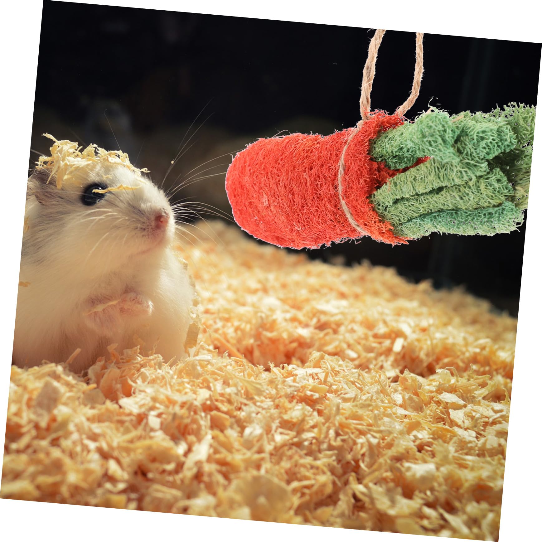 8 Pièces Mâcher pour Petits Animaux à Mâcher pour Hamster Accessoires Naturels pour Rongeurs Couleur Aléatoire