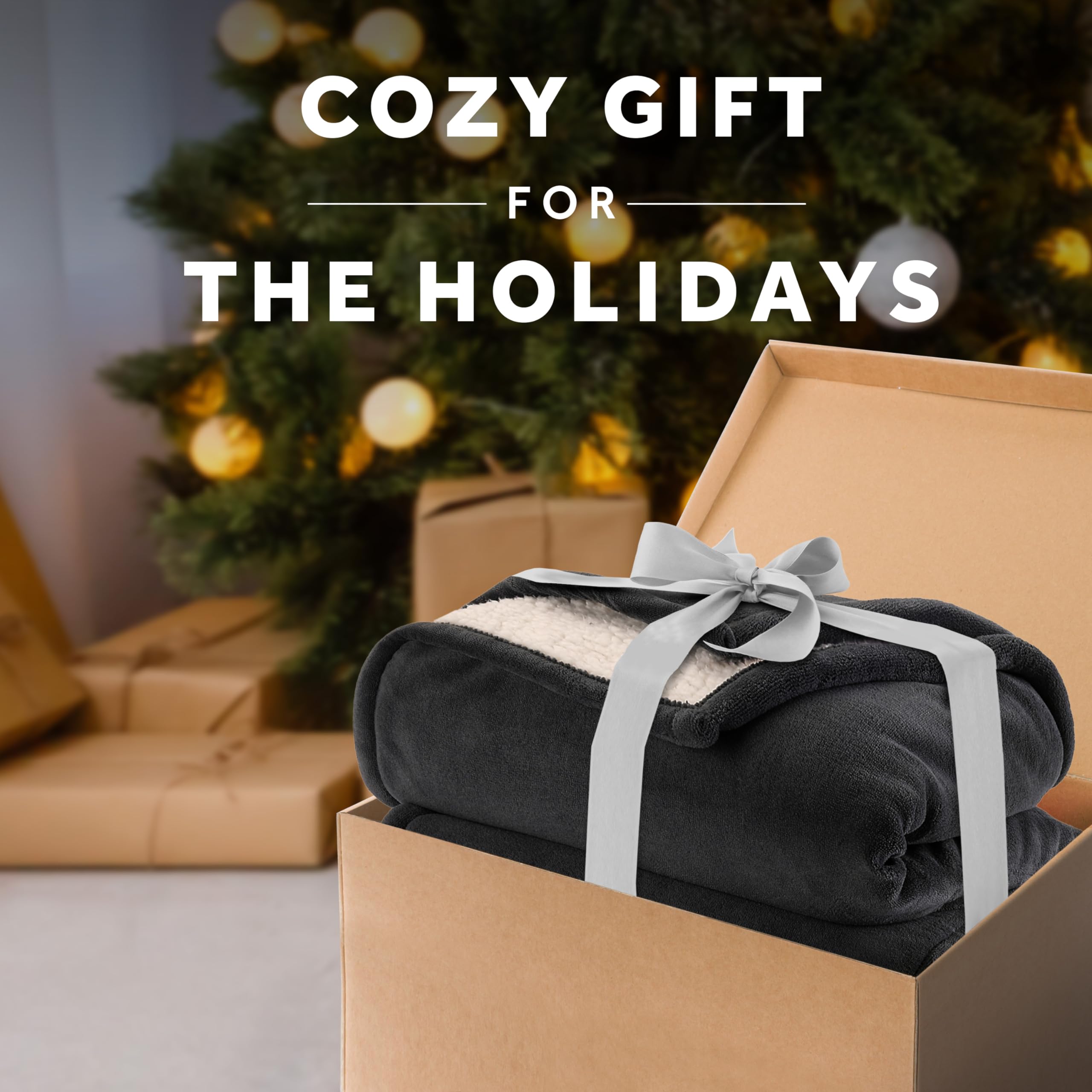 Sunbeam Royal Luxe Sherpa Night Fog Heated Blanket