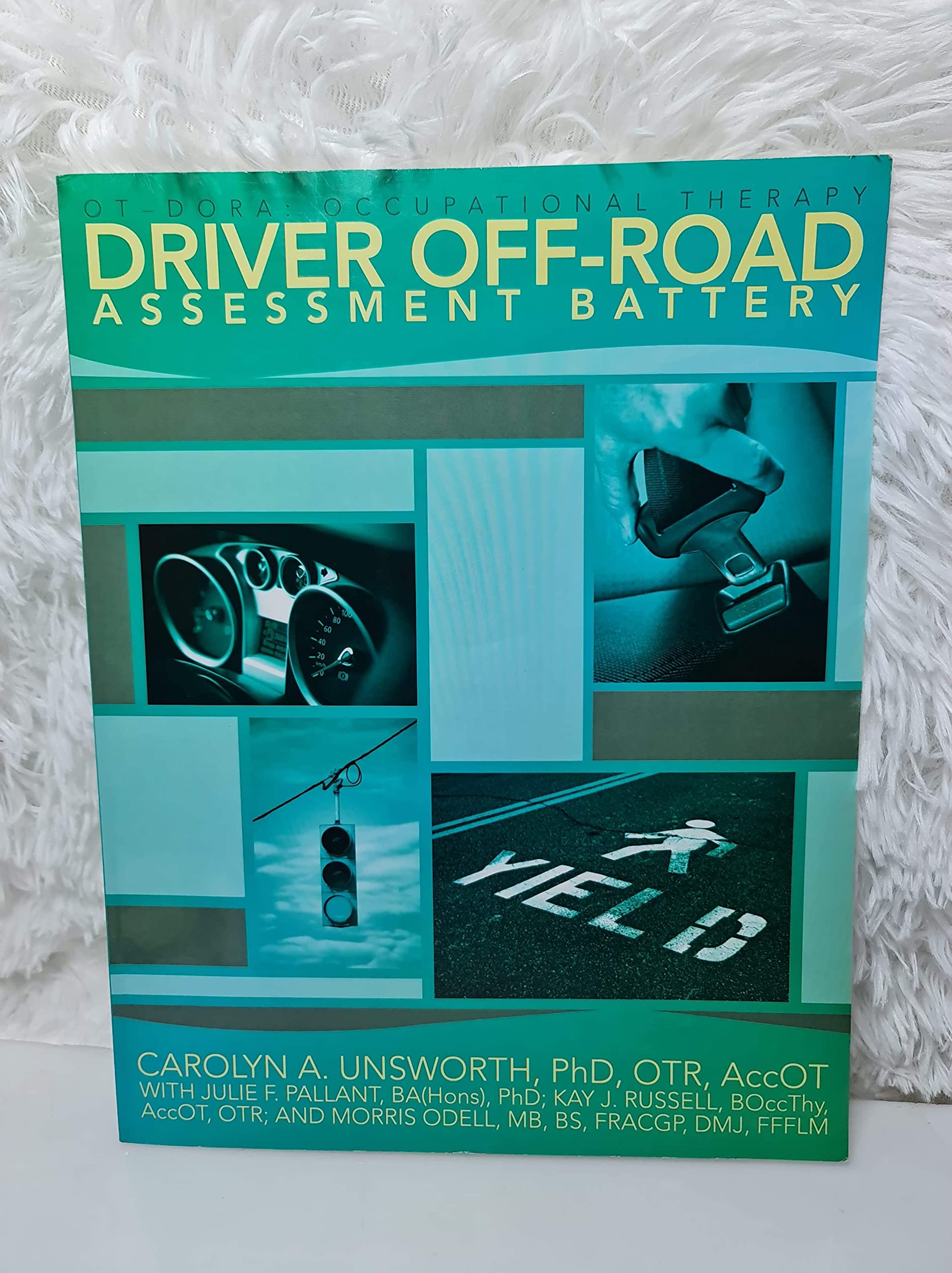 OT-DORA: Occupational Therapy Driver Off-Road Assessment Battery Paperback – January 1, 2011