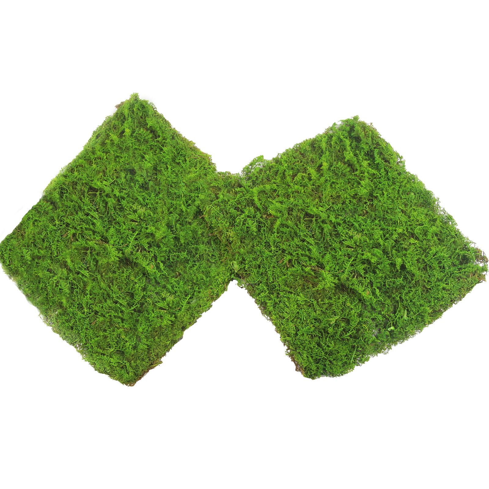 2 Pcs Preserved Sheet Moss for Potted Plants 2 sq.ft. Dried Natural Preserved Moss Mat Green Moss Sheets for Planters Crafts Woodland Decor Garden Party Decorations Wall Art DIY Project Green
