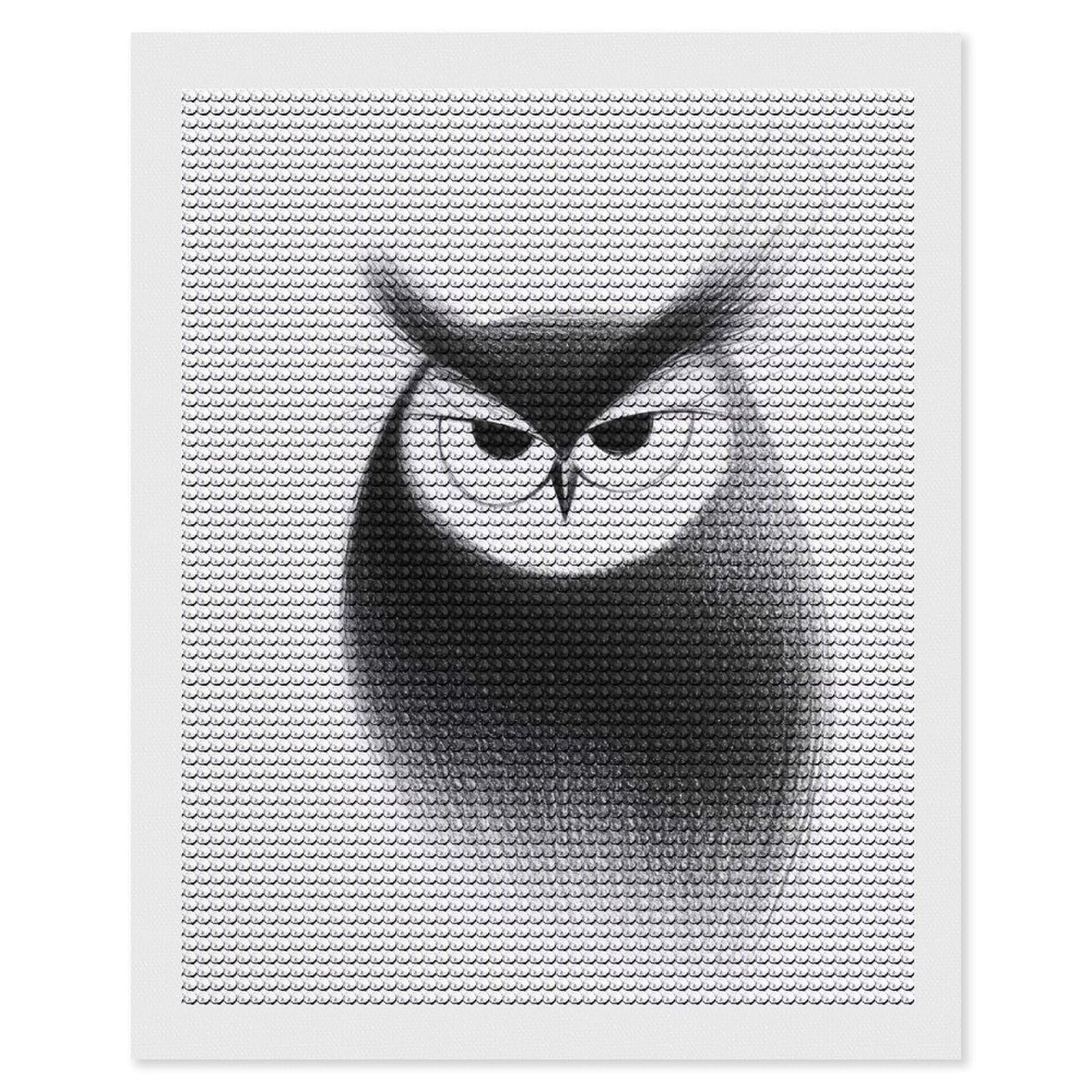 Junmoney Black and White Owl Illustration Diamond Painting Set 16"x20", Stress Relief Craft, Easy to Enjoy, Vintage Style Decor, Festive Craft Gift