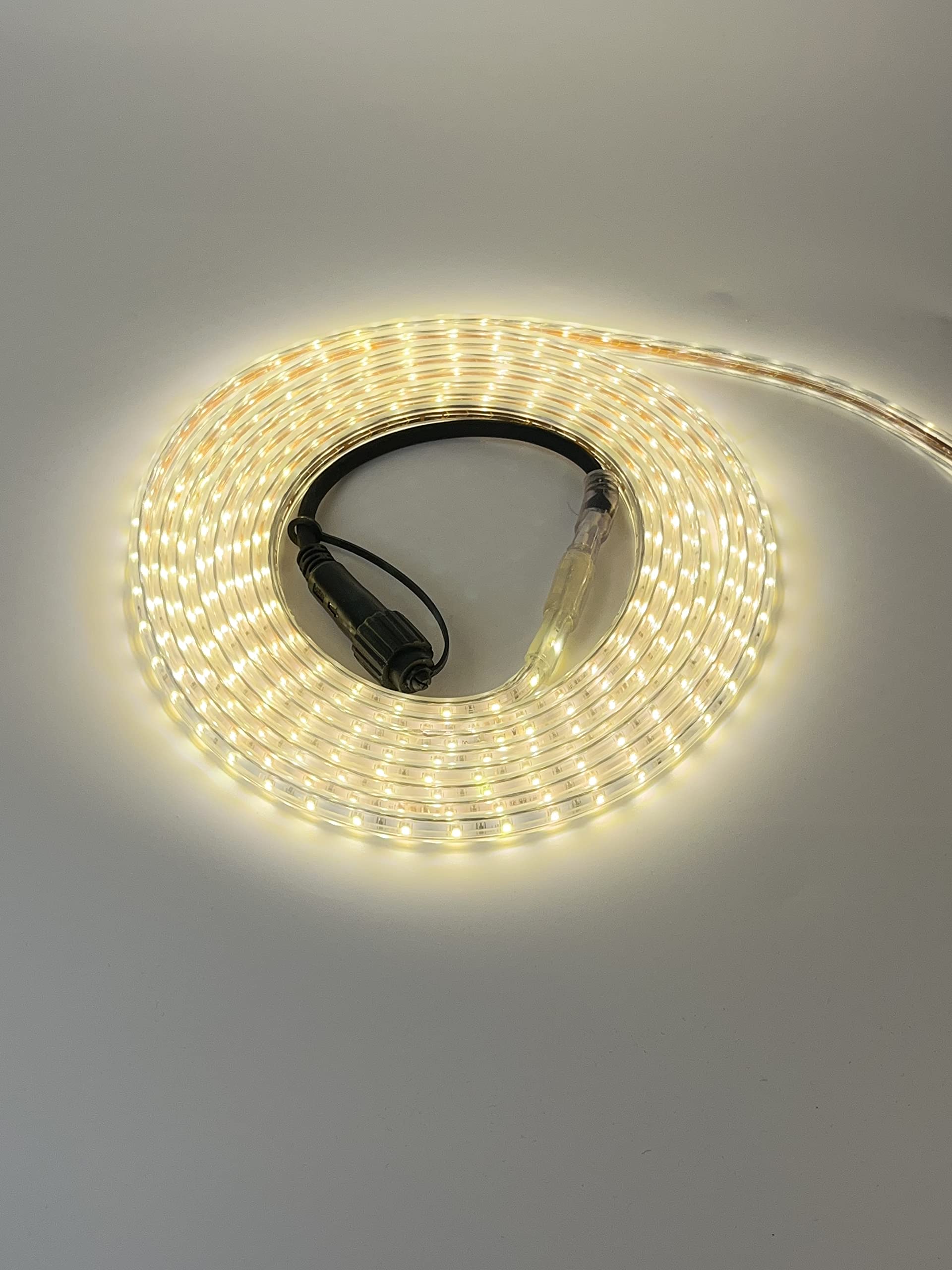 LEDZEIT- Profi Serie - Bande lumineuse néon LED 10m, tube néon flexible