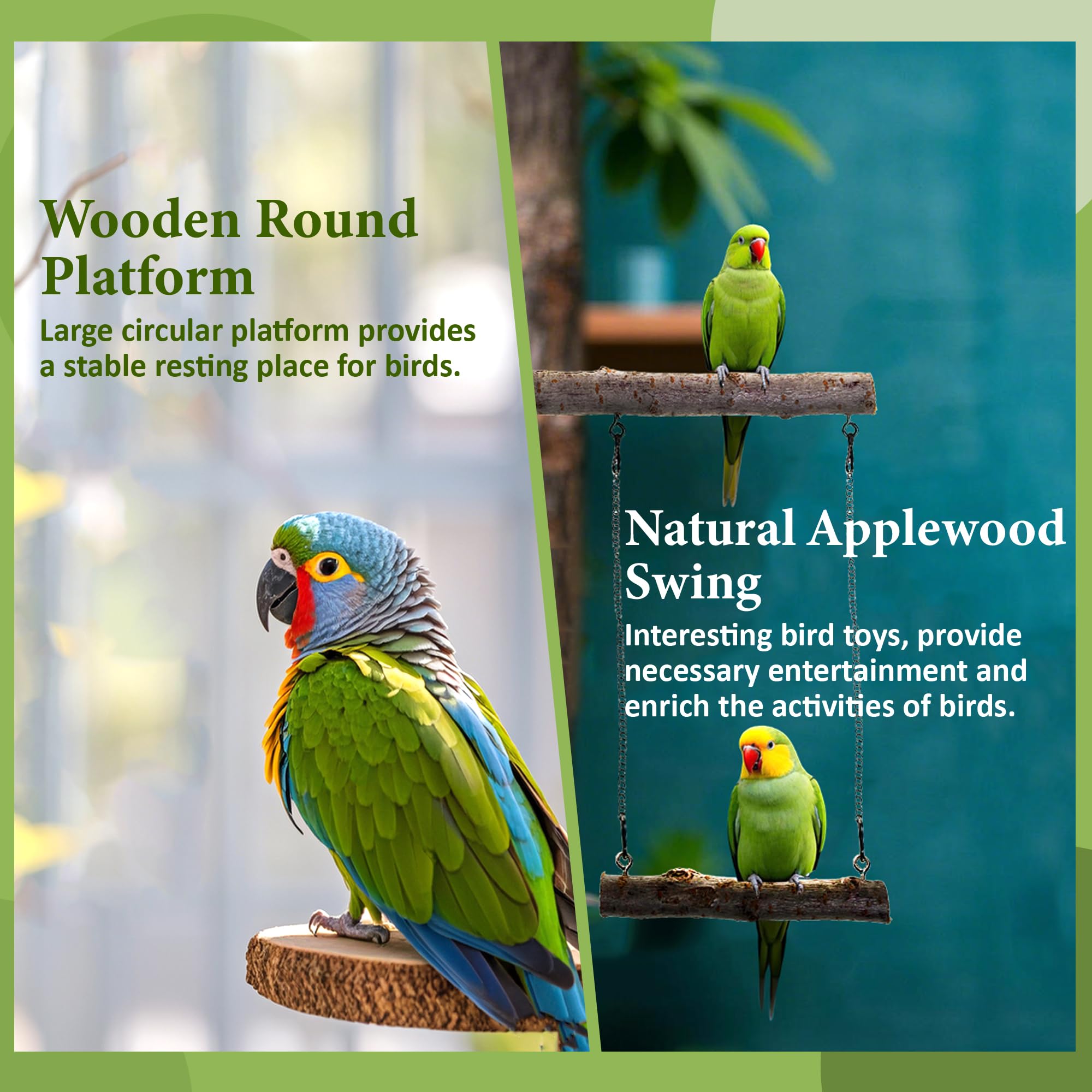 CAMATET 8pcs Bird Perches for Cage, Natural Wood Bird Perch for Parakeet/Cockatiel, 9.5“ Medium Bird Cage Stick, Bird Branches for Cages, Birdcage Accessories for Parrot Conure - image 4