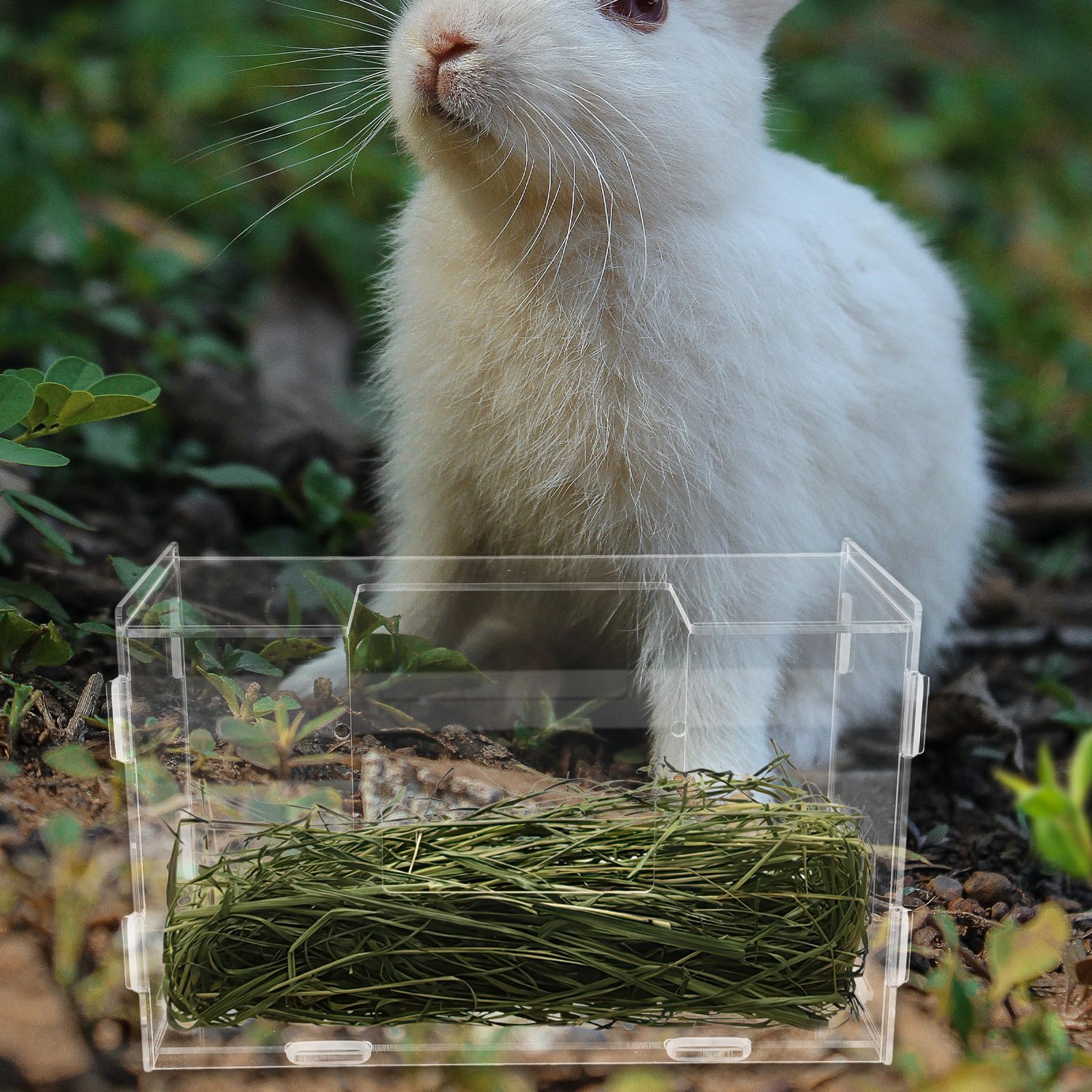 Kichvoe Rabbit Hay Feeder with Built-in Acrylic Feeding Groove Large Capacity Hay Rack for Guinea Pig Bunny Cage Small Animals Pet Supplies - image 5