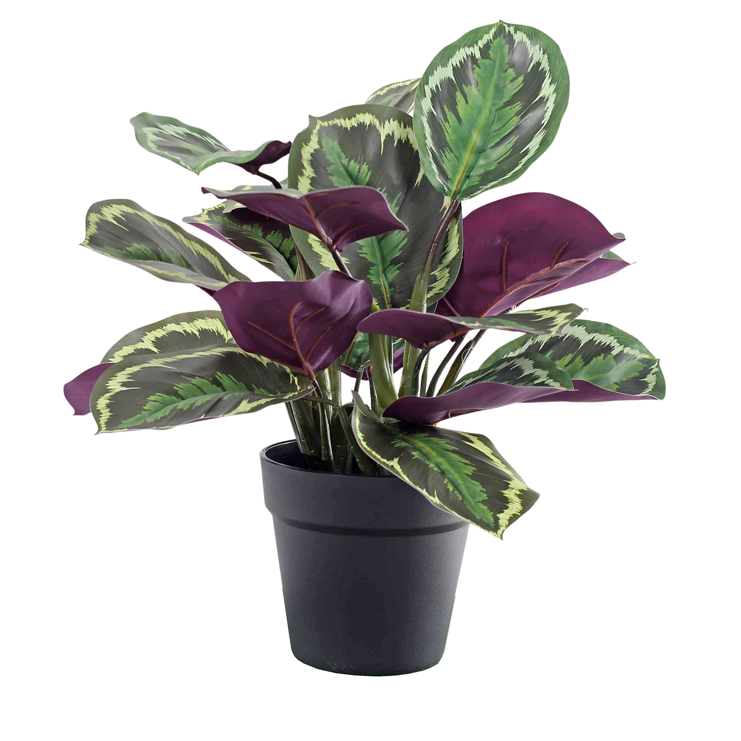 Blooming Artificial Green Plants Indoors In Pots, Faux Decorative Foliage, No Hassle, Easy Care, Perfect For Bringing Life To Indoor Spaces (Medallion Calathea) (Green) (40Cm)