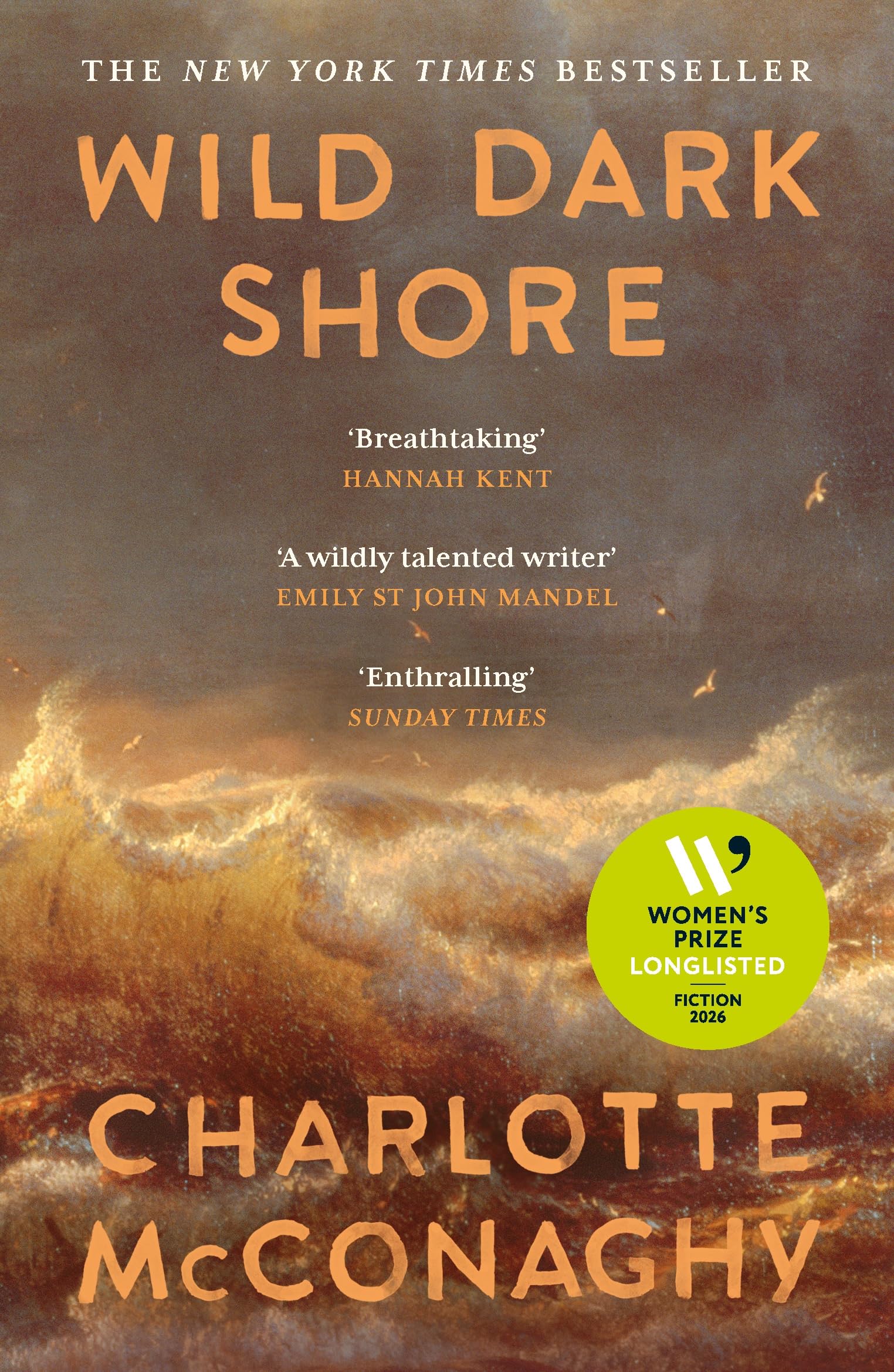 Wild Dark Shore: Longlisted for the Women's Prize for Fiction 2026