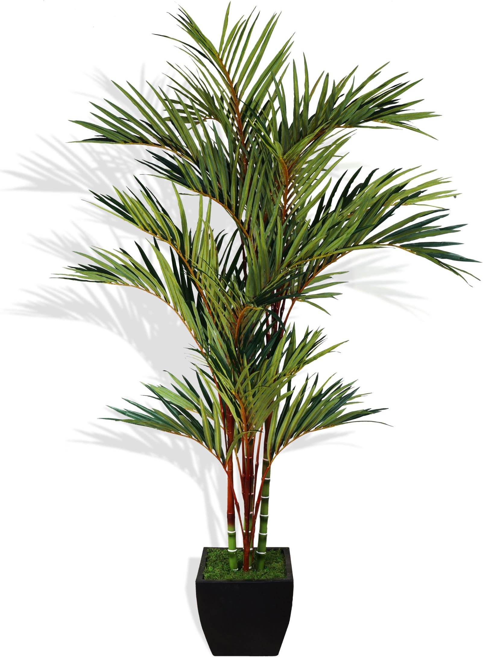 Vintage Home 8 Foot Lipstick Red Palm Tree with Contemportary Container