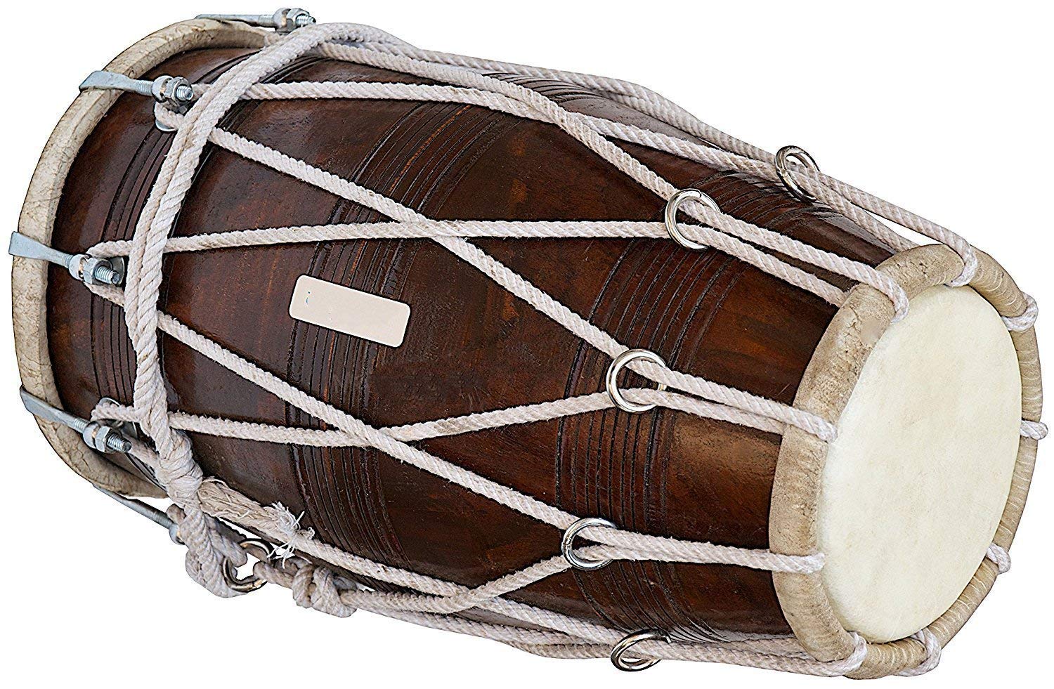 Special Dholak Drum von SAI Musicals, professionelle Qualität, Sheesham-Holz, gepolsterte Tasche, Maulschlüssel, Dholki Musikinstrumente