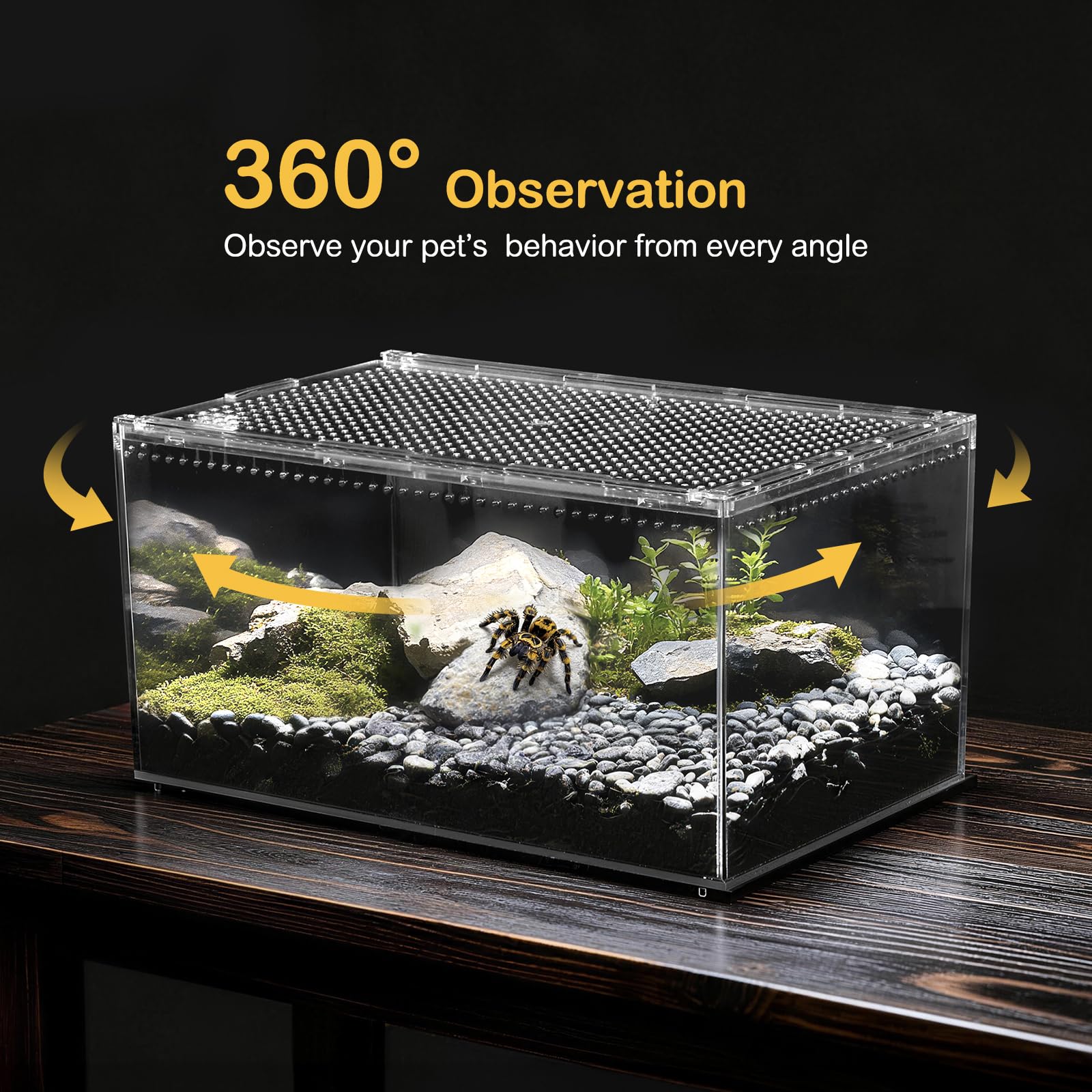 Reptile PC Terrarium, Spider Tank Starter Kit, Leopard Gecko