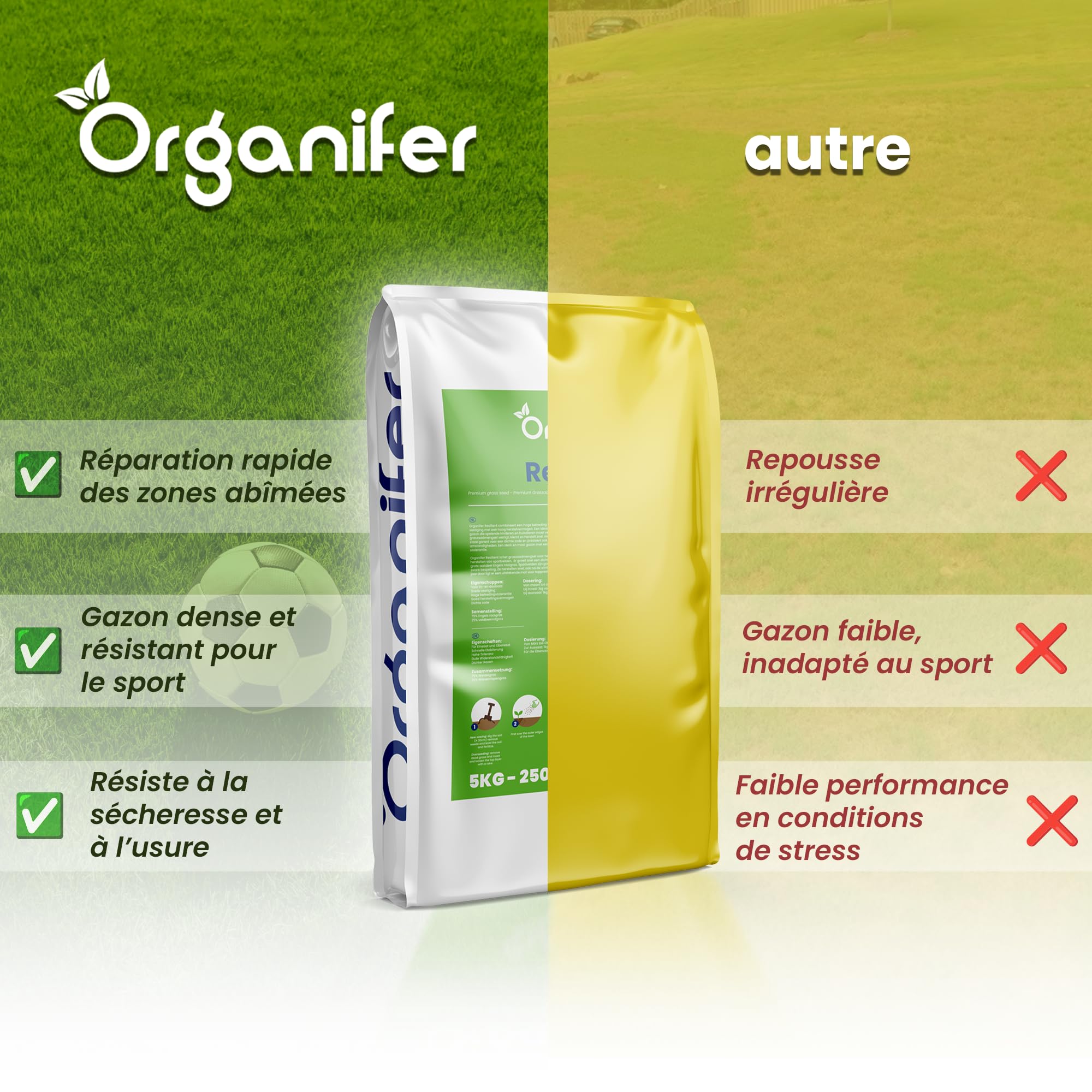 Spiel- & Sportrasen - 10kg | Schnell Keimend - NAK-zertifiziert - Hohe Belastbarkeit - Trittfest & Robust - 10kg - Organifer