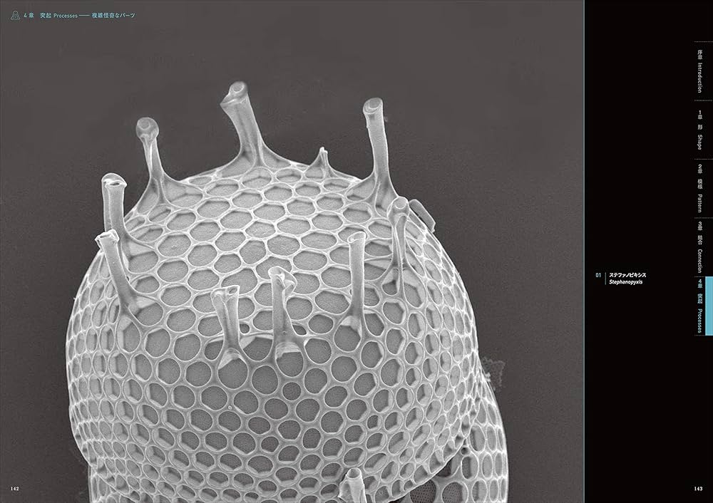 珪藻美術館 = Diatoms Art Museum 珪藻美術館 Diatoms Art Museum | 奥修 |本 | 通販 | Amazon