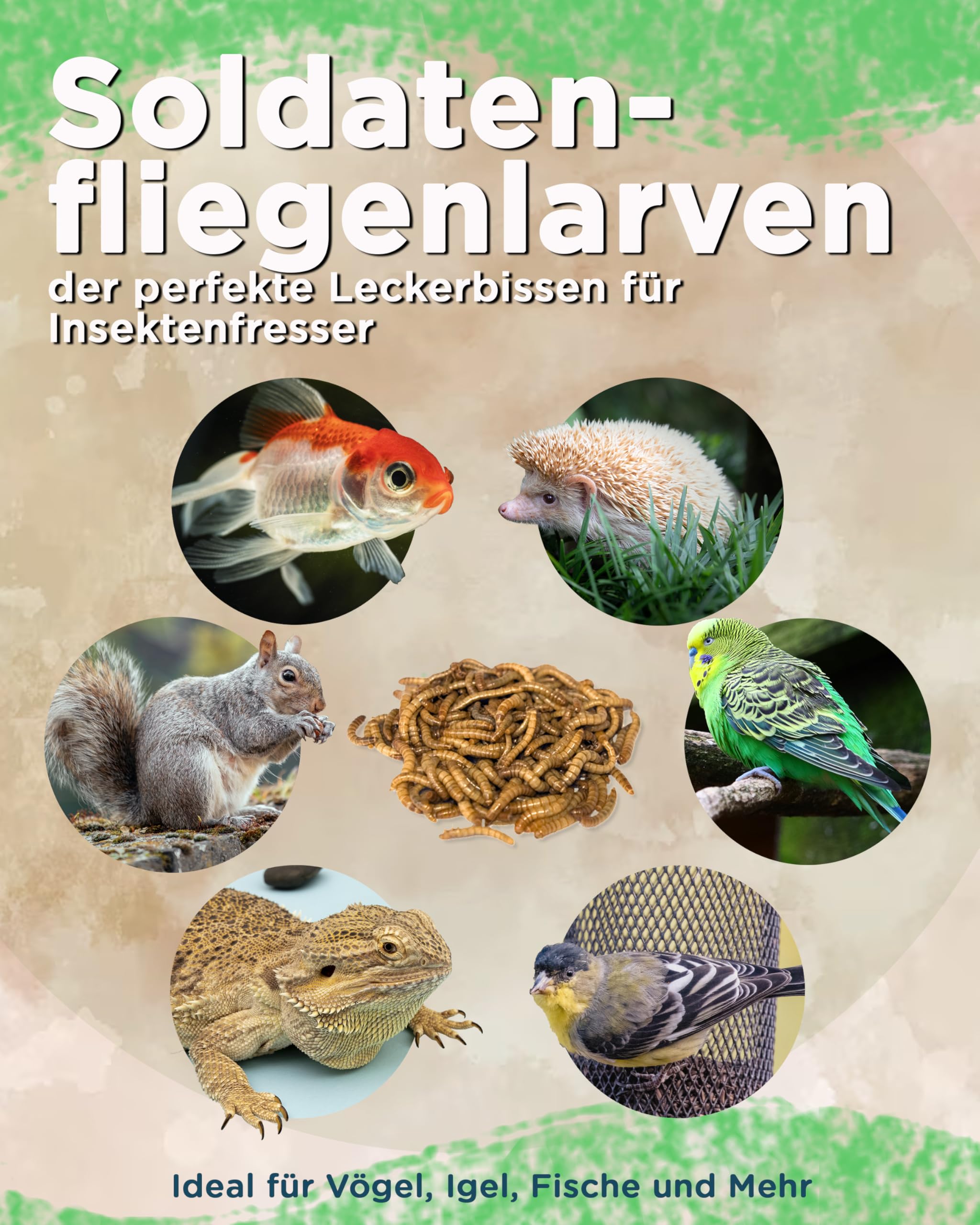 Futterbauer 10kg Soldatenfliegenlarven getrocknet, Premium Vogelfutter, Fischfutter, Futter für Reptilien und Nager, Proteinreiches Naturfutter wie Mehlwürmer