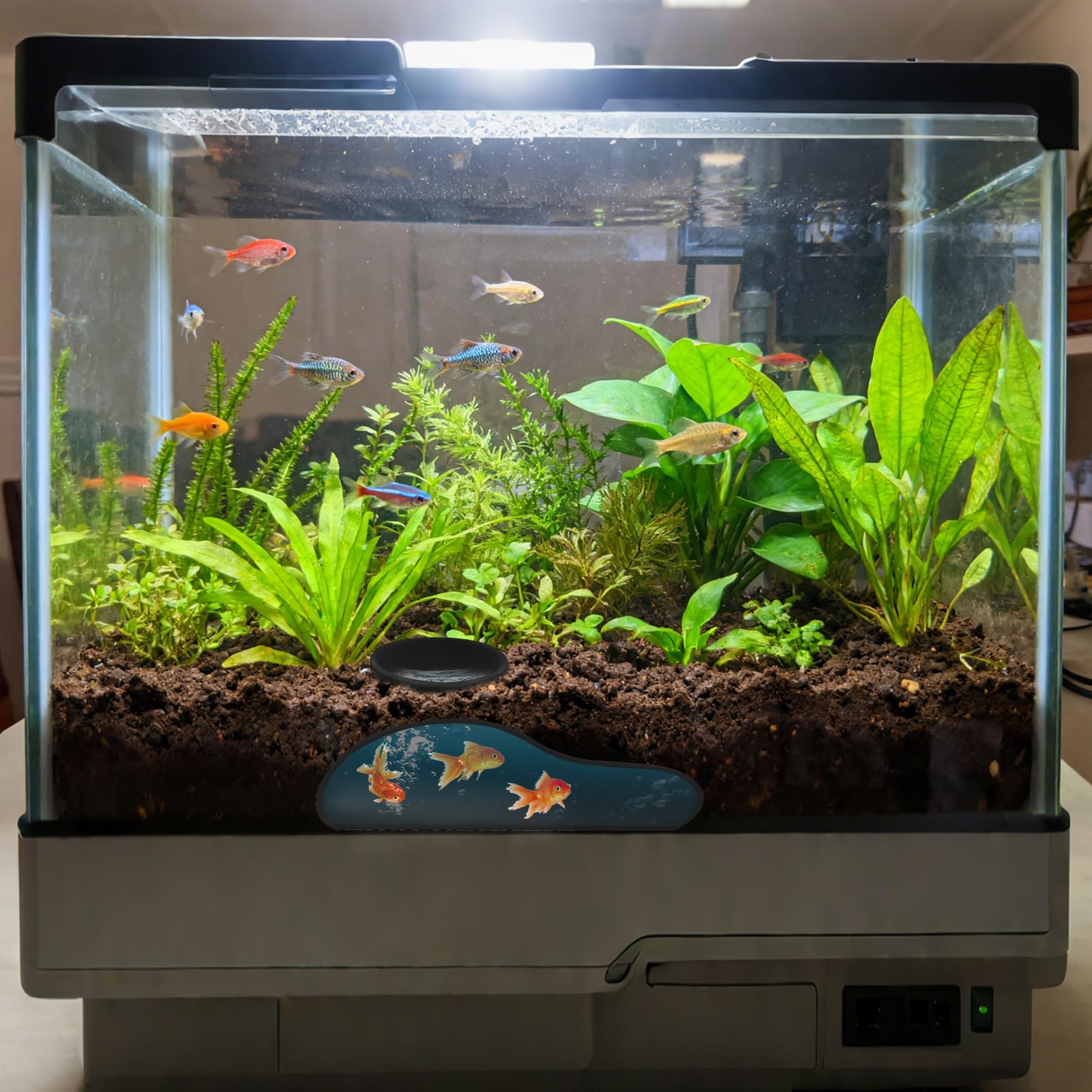 Tana per Pesci d'Acquario,Tunnel Sotterraneo Per Acquario,Decorazione Tana Per Gamberi - per Corydoras Terrari