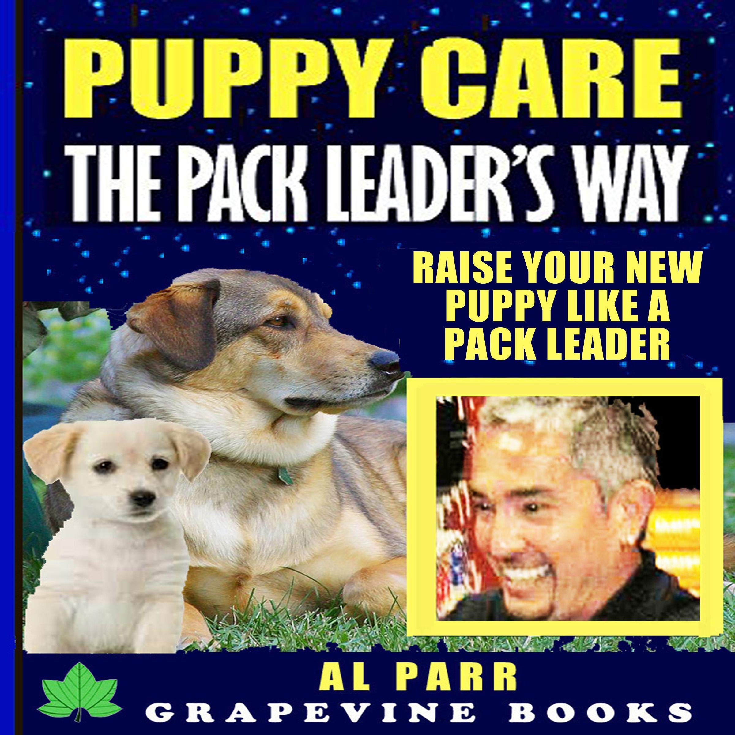 Cover art for Puppy Care The Pack Leader's Way (Understanding Cesar Millan, Konrad Lorenz and B. F. Skinner): Raise Your New Puppy Like A Pack Leader!