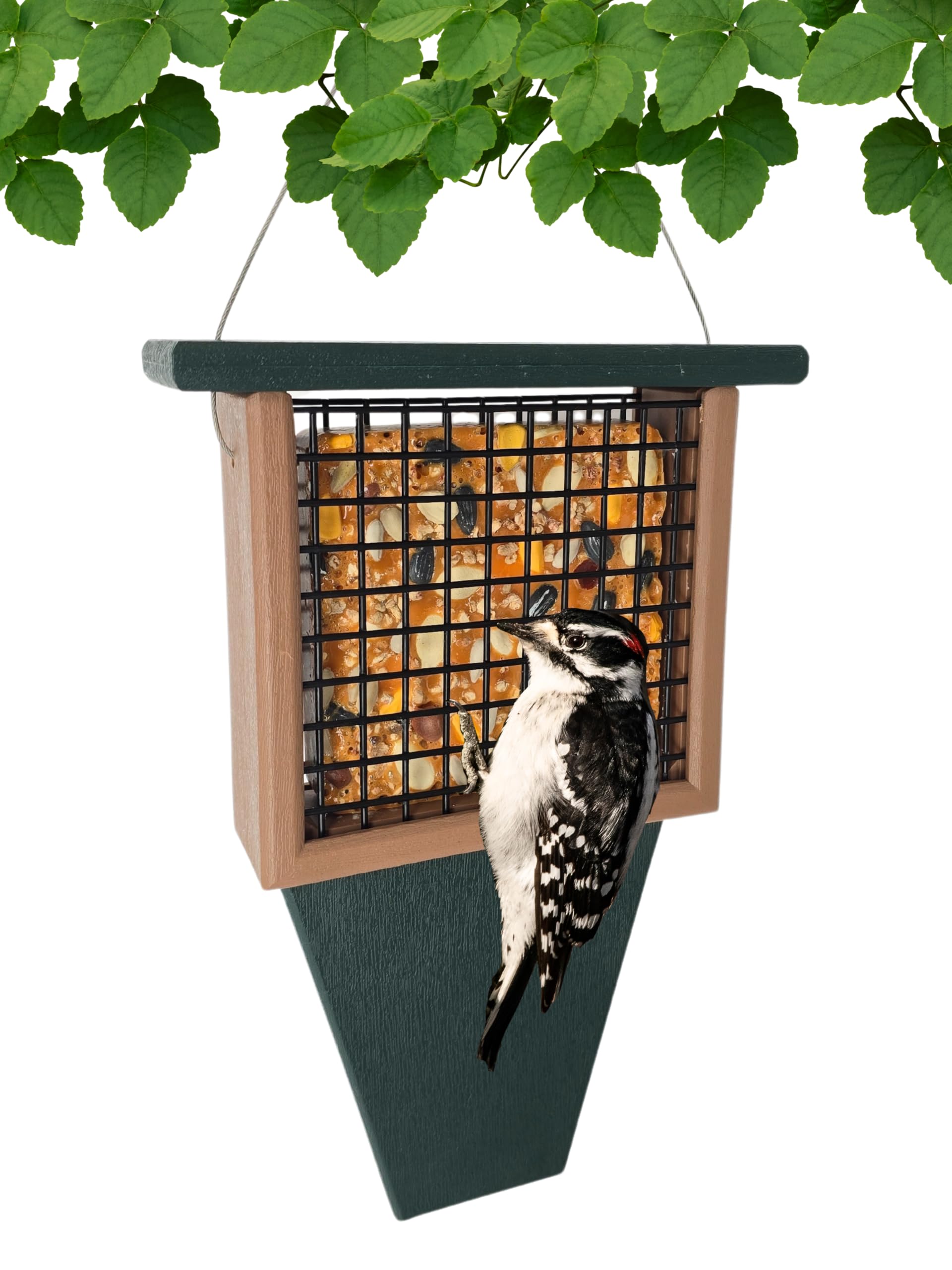 Songbird Essentials Tail Prop Suet Feeder