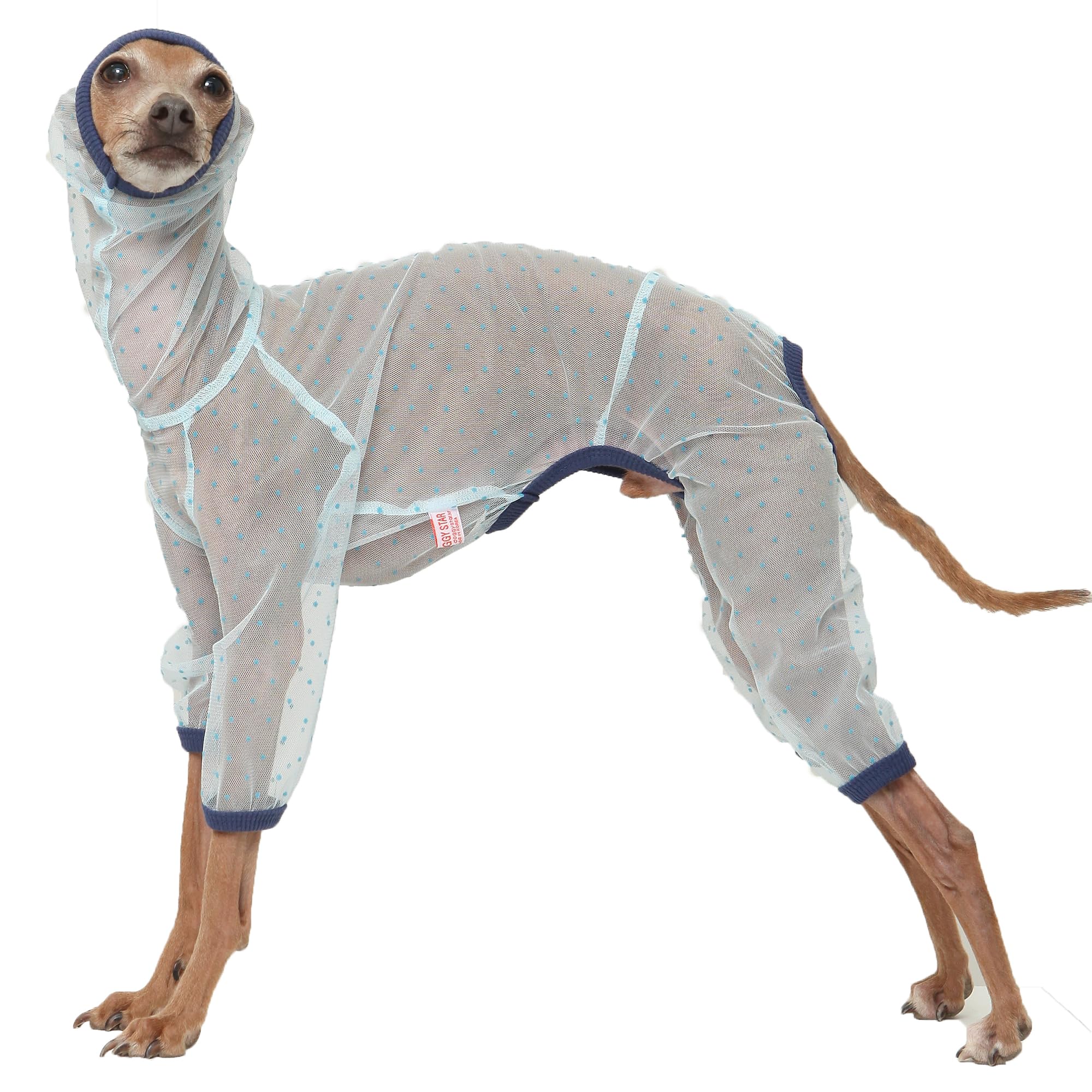 D Doggy Star Italian Greyhound Clothes Sheer Mesh Onesie Summer Jumpsuit Breathable Full Body Protection for Outdoor Walks Small Whippet Fit (XL,Sheer Mesh Blue) — image 1