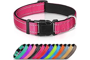 Joytale Comfortable Dog Collar: A Haven of Comfort for Your Canine Companion