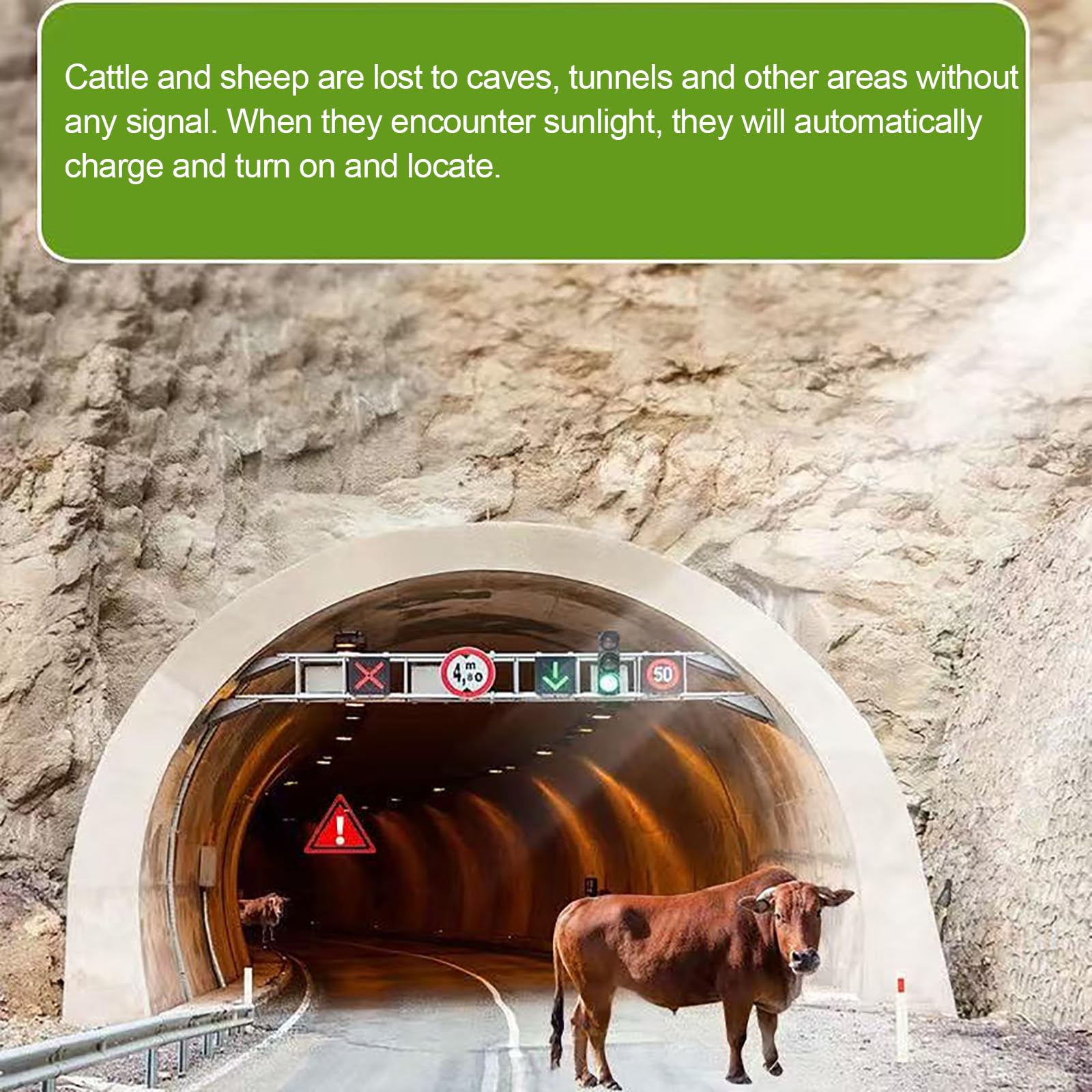Rastreador De Animales Solares, Rastreador GPS De Vacas, Dispositivo Localizado para Ganado, Ovejas Y Caballos, Rastreador Anti-perdición, Pista Histórica, Posicionamiento En Tiempo Real/Impermeable