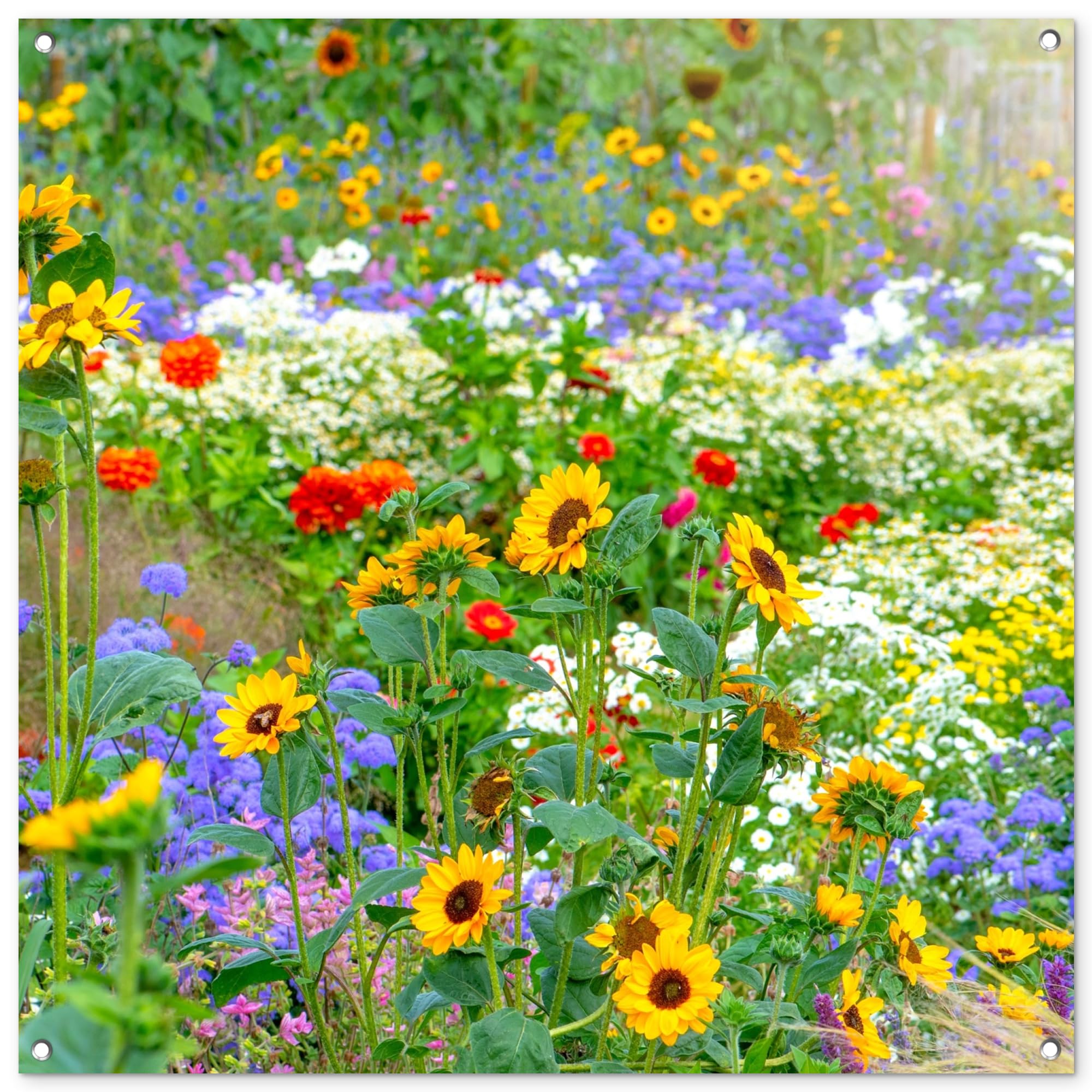 MuchoWow© Garden Decorations Outdoor 39"x39" / 100x100 cm Balcony Decor Posters For Gardens Accessories Outside Wall Art Decoration Flowers - Lawn - Colorful - Nature — image 1