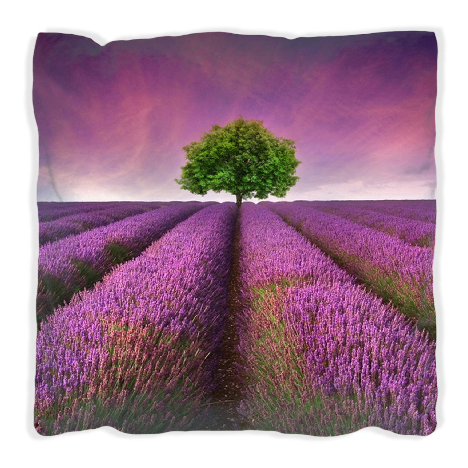 Wallario Dekokissen 60 x 60 cm mit schwarzer Rückseite, Lila Blumenfeld, Kuschelkissen mit weicher Plüsch-Oberfläche
