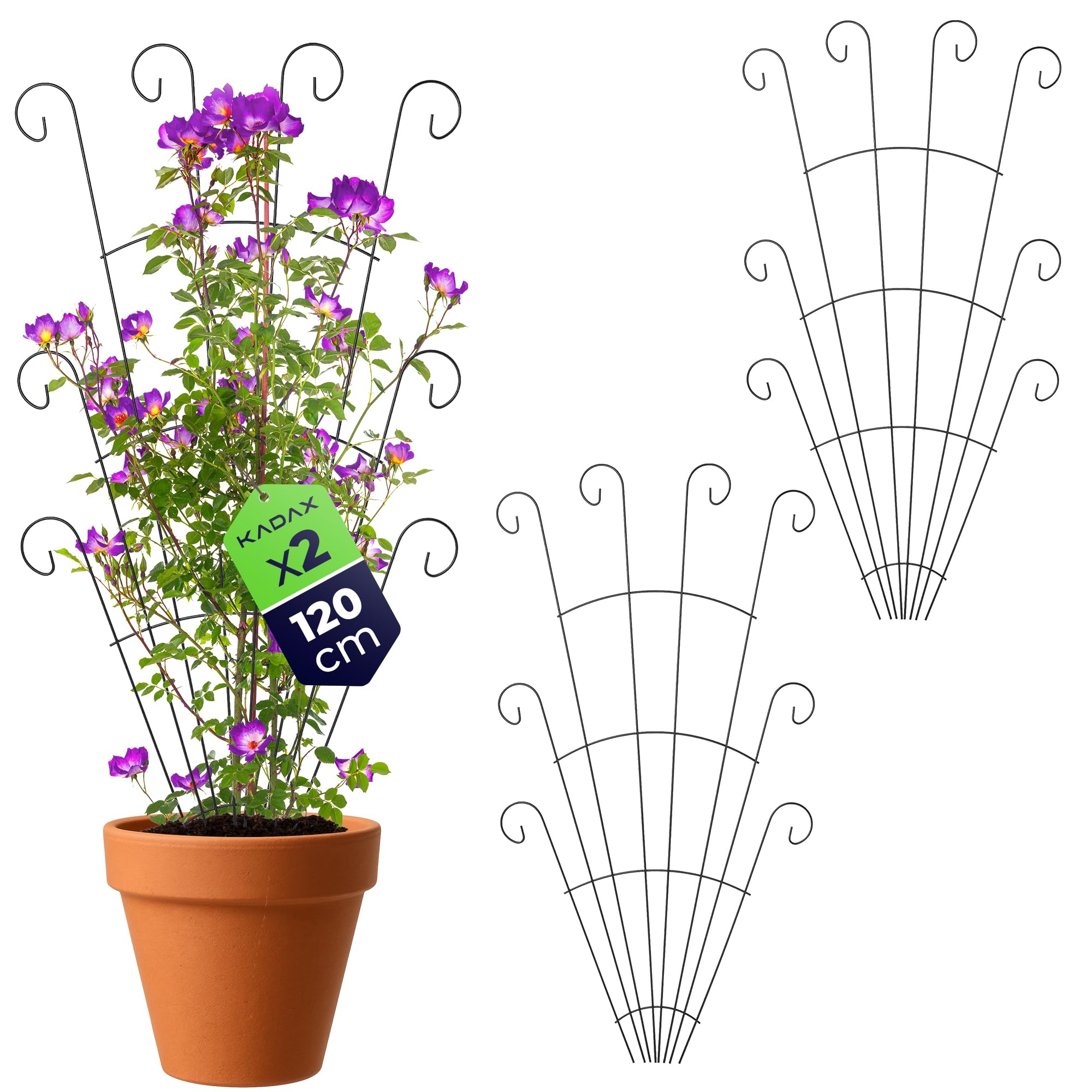 KADAX Metall Rankgitter 62 x 120 cm, 2 Stück, Rankhilfe für Kletterpflanzen wie Rosen & Clematis, Pflanzen Spalier für Garten, Balkon & Terrasse, Rosenrankgitter aus Stahl