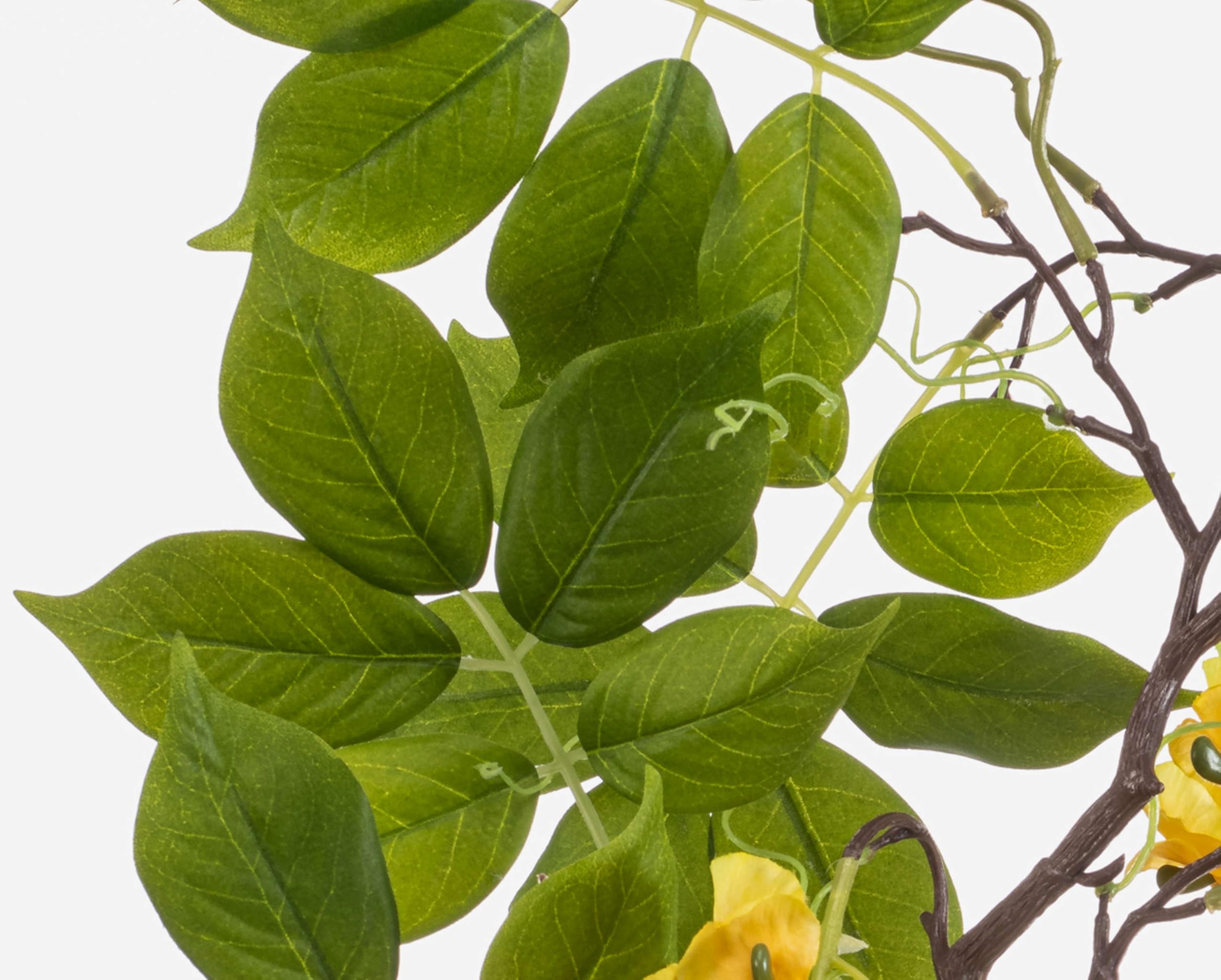 artplants.de Künstlicher Zweig Blauregen NISSRINE mit Blüten, gelb, 145cm | Kunstblumen Blauregenzweig
