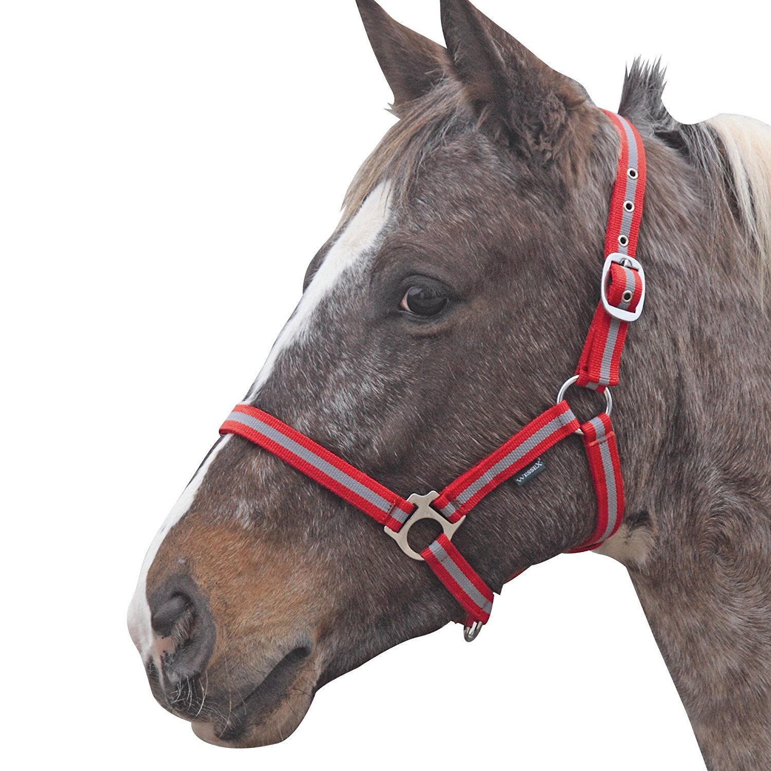 Shires Wessex Nylon Headcollar -Red/Silver Foal