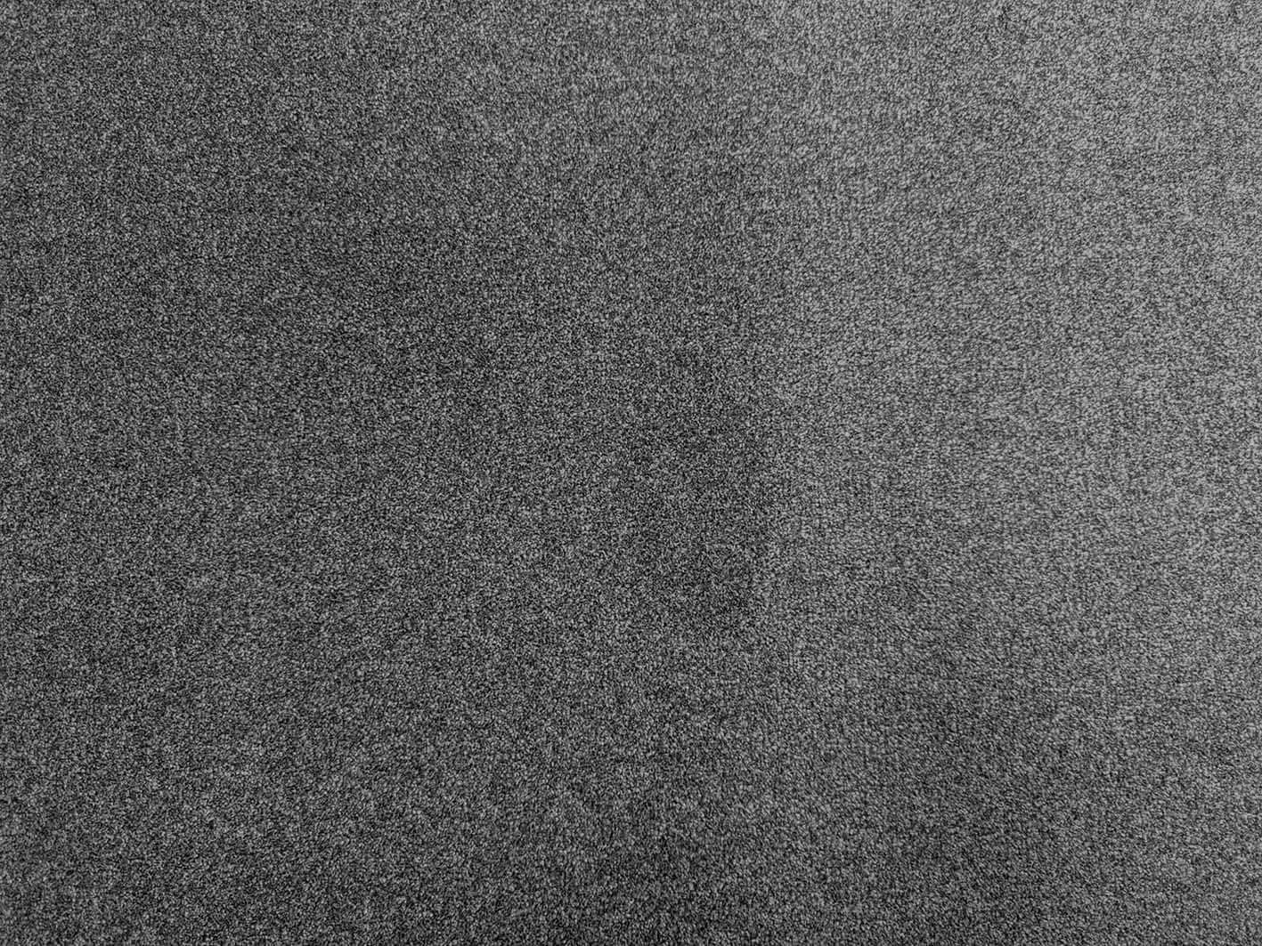 Moquette velours douce et moelleuse Jasmin | Moquette haut de gamme pour les pièces à vivre, gris, Découpe (4m de large / 6m de long)