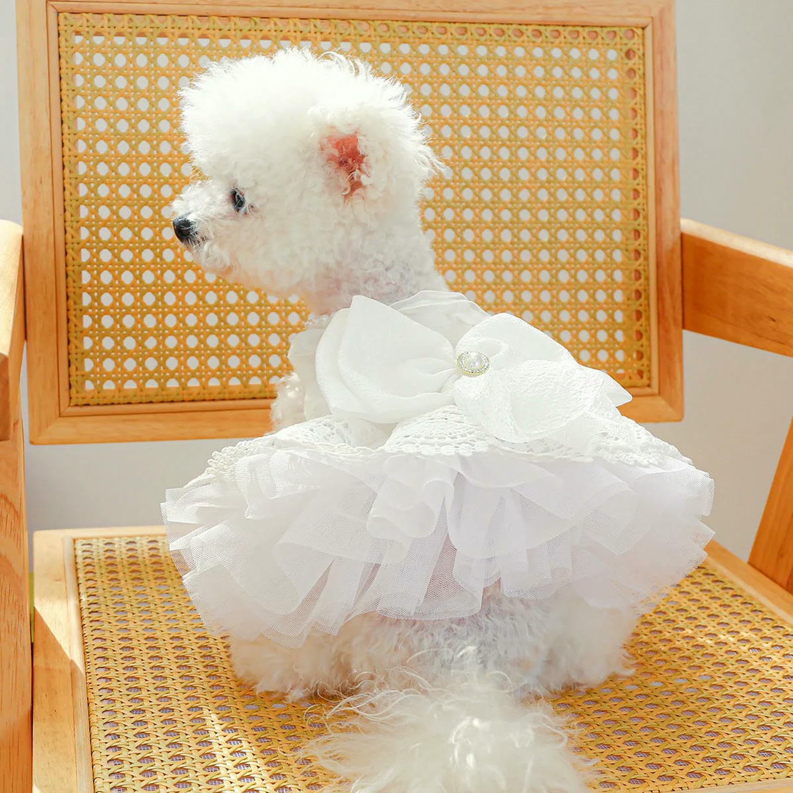 Vestiti per Cani Cane in Pizzo di Lusso da Cane Sposa Costume Morbido Comodo Abito da Matrimonio per Cani da Sposa Abbigliamento per Animali-Bianco-XL