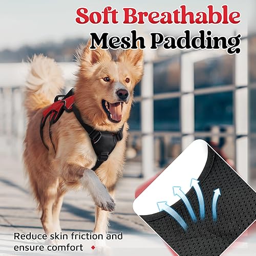 Miniatura 6 de rabbitgoo Arnés para perro a prueba de escapes, arnés suave acolchado de cuerpo completo para mascotas, chaleco reflectante ajustable sin tirones