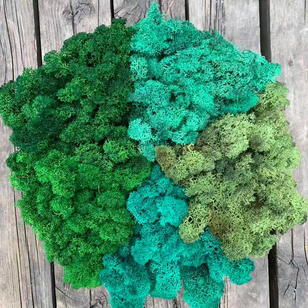 Prefleur Preserved Reindeer Mix Craft Moss Natural Green DIY Kit Gardenning Art Wall Decor Florist Easter Table Decor Wedding Decor (1lb)(Green-9 Green-10-2 Green-4 Green-5 Green-17)(Style-29)